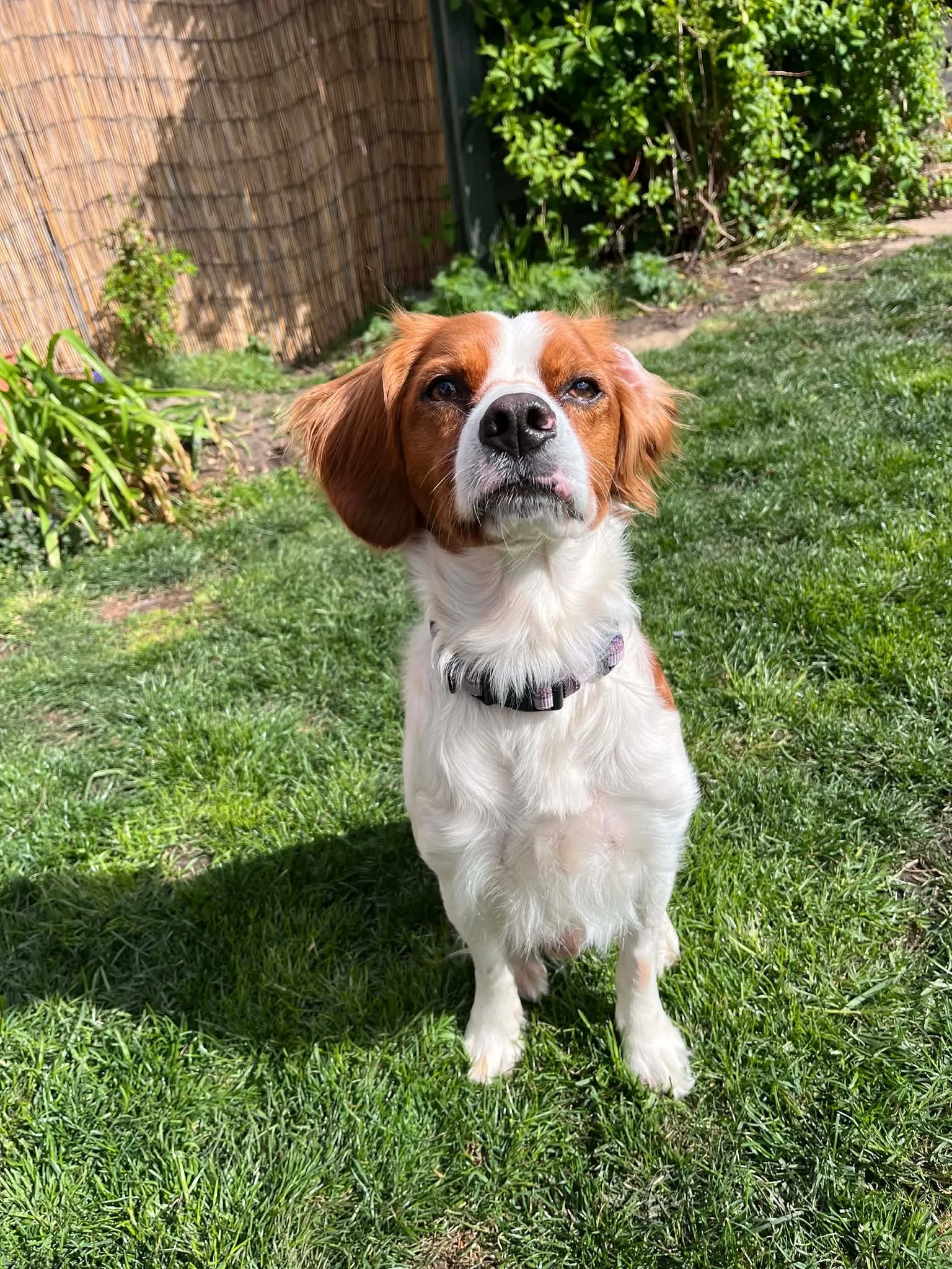 Filbert Louis Fosterer.jpg