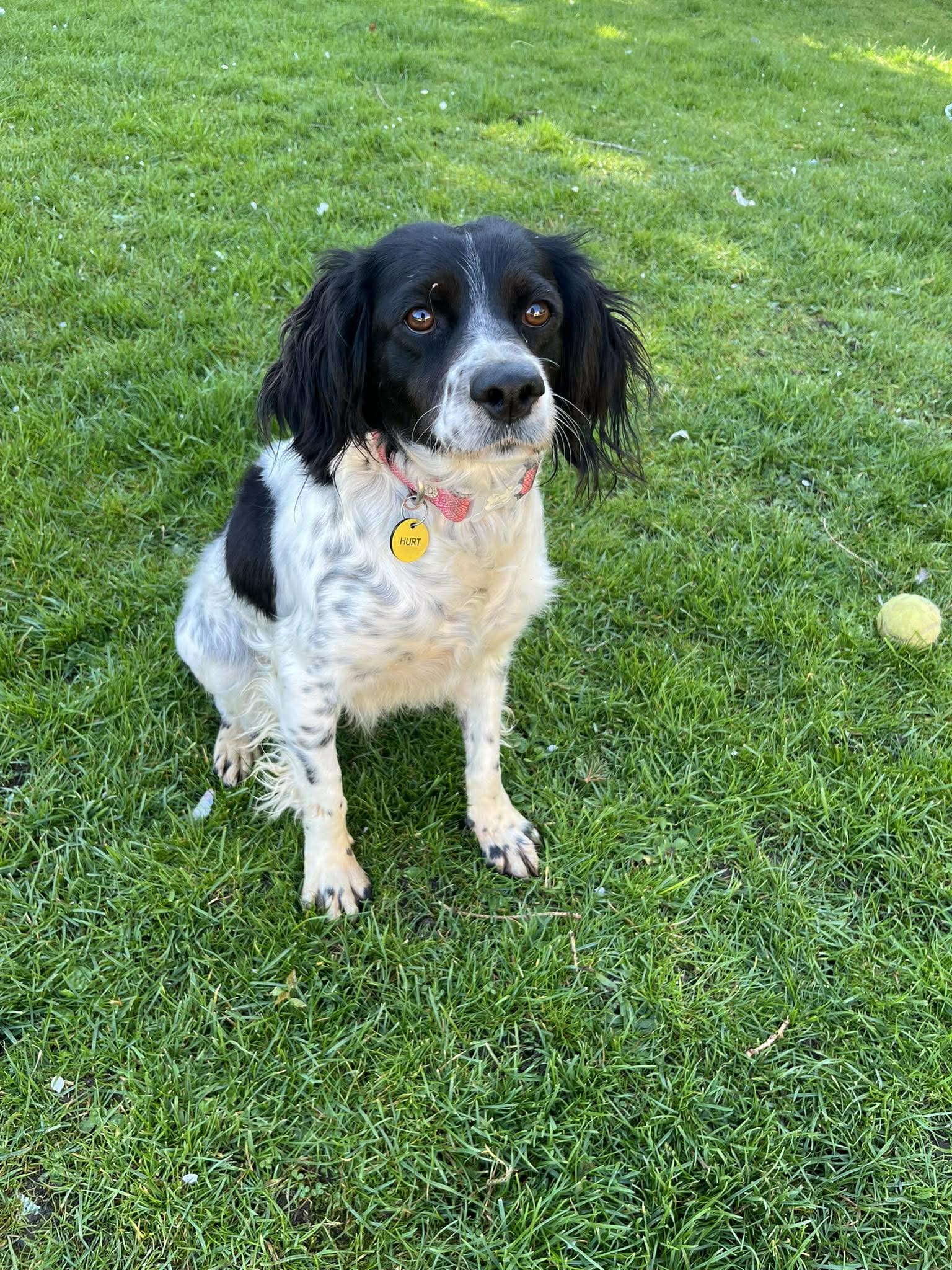 Anita 1640 Fosterer.jpg