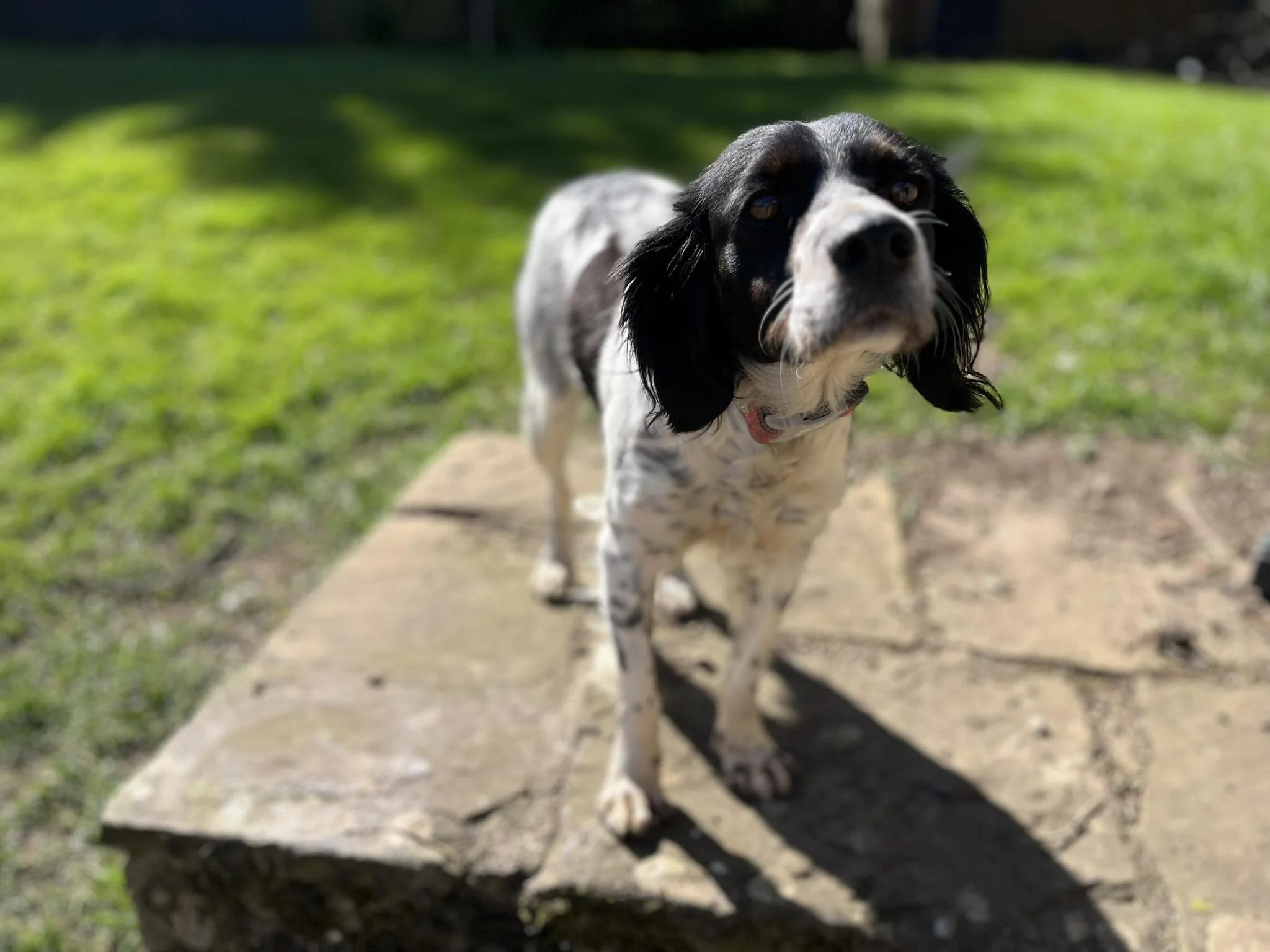 Anita 1640 Fosterer 2.jpg