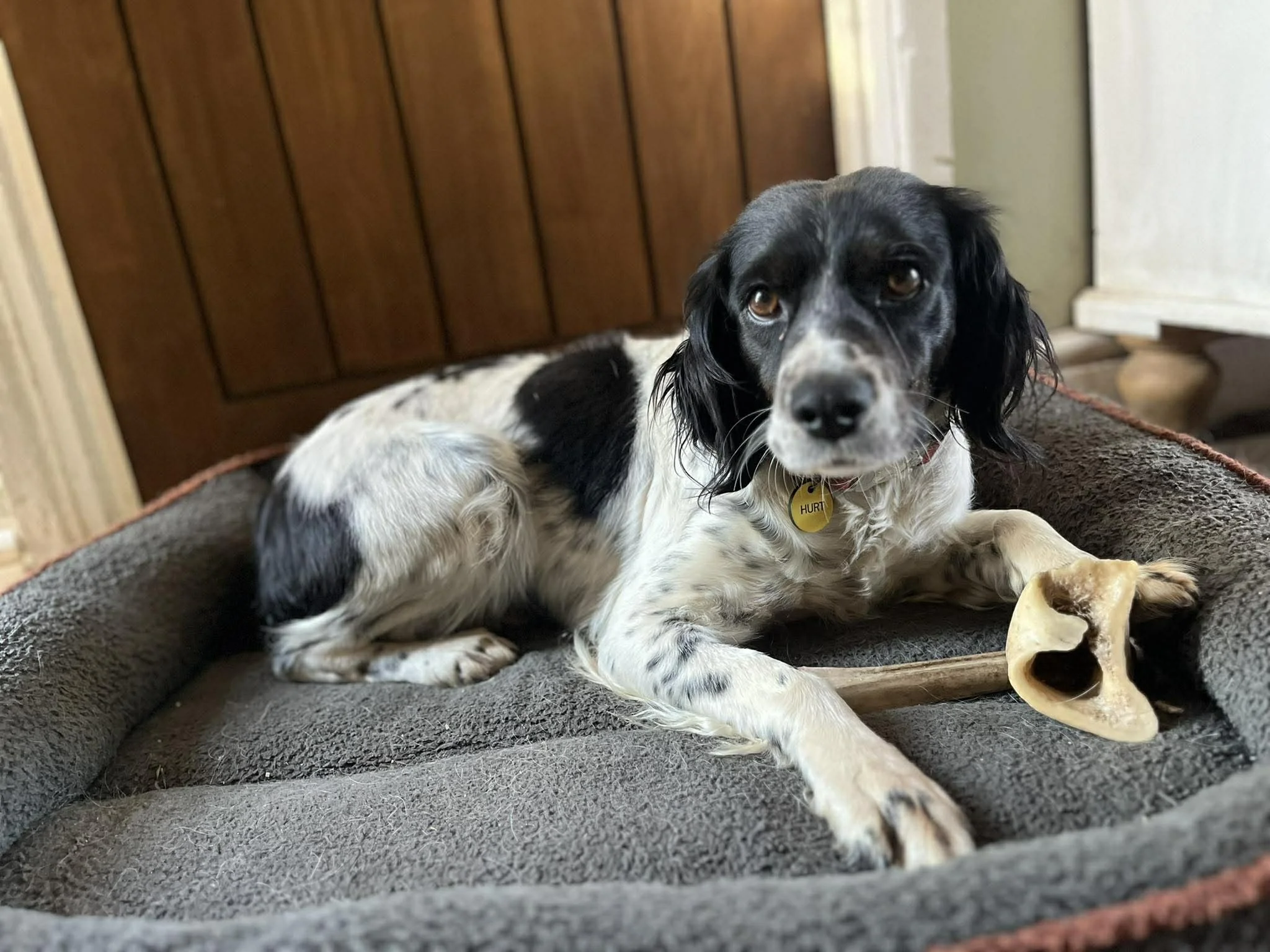 Anita 1640 Fosterer 3.jpg