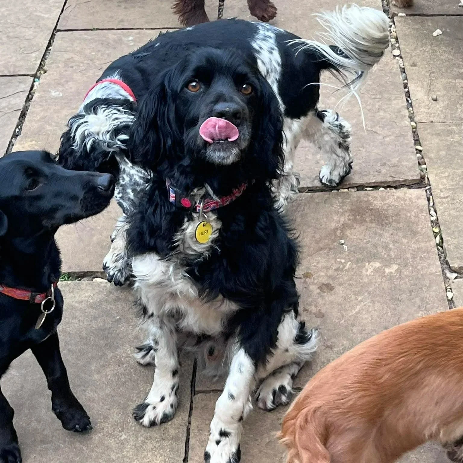 Marley+1579+Fosterer+26.jpg