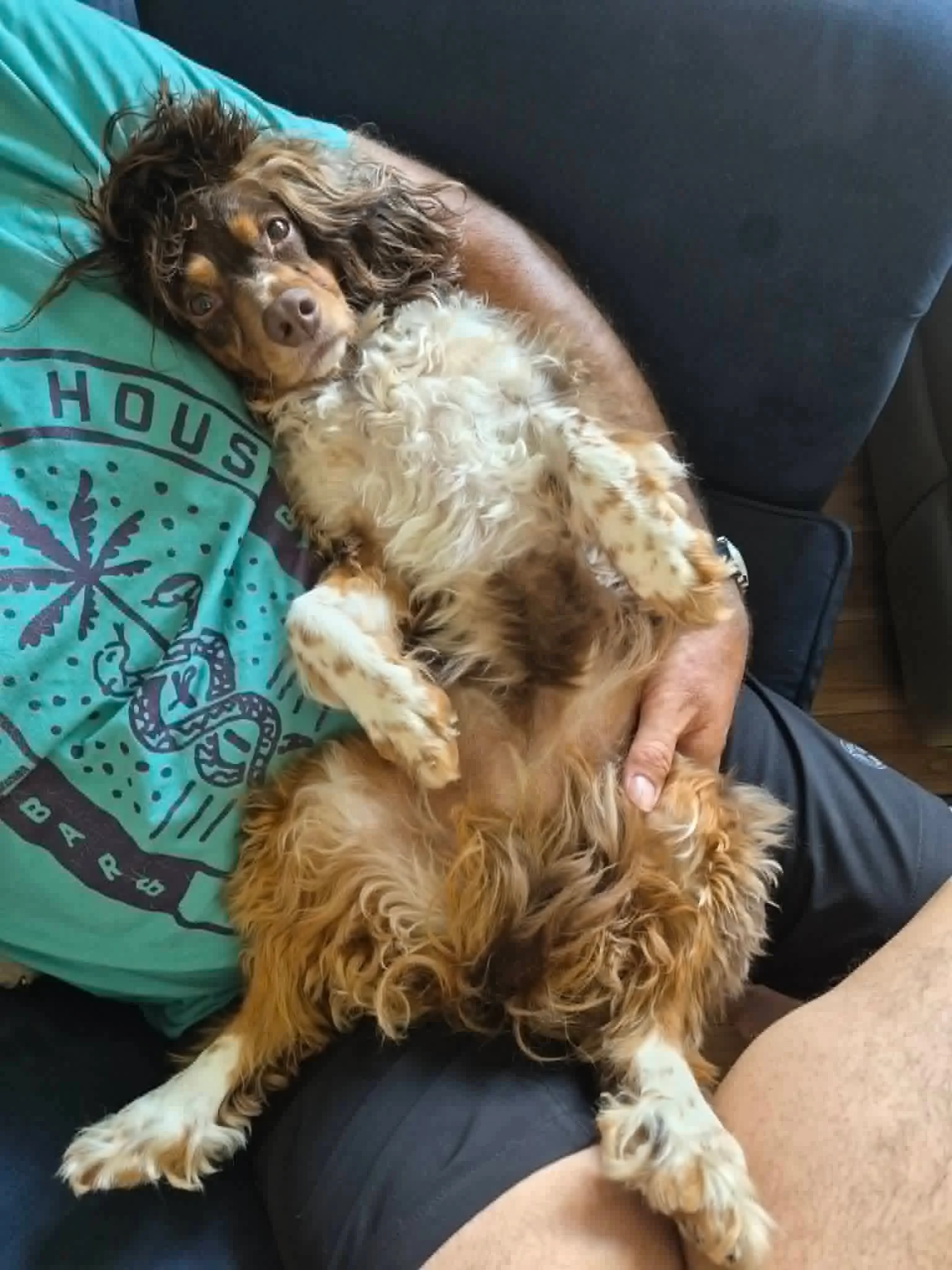 Isla Pup Fosterer 1.jpg