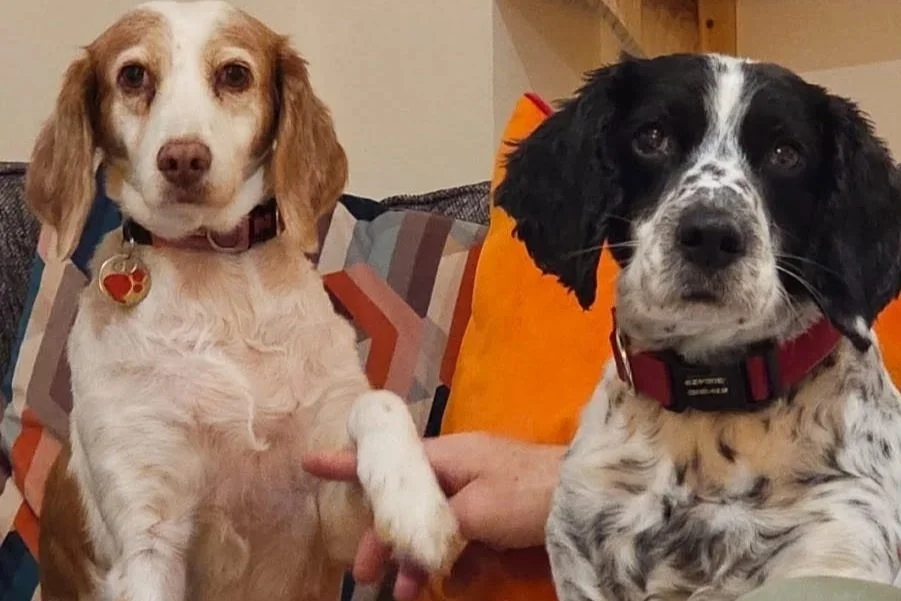 Dori+Lady+and+Archie.jpg