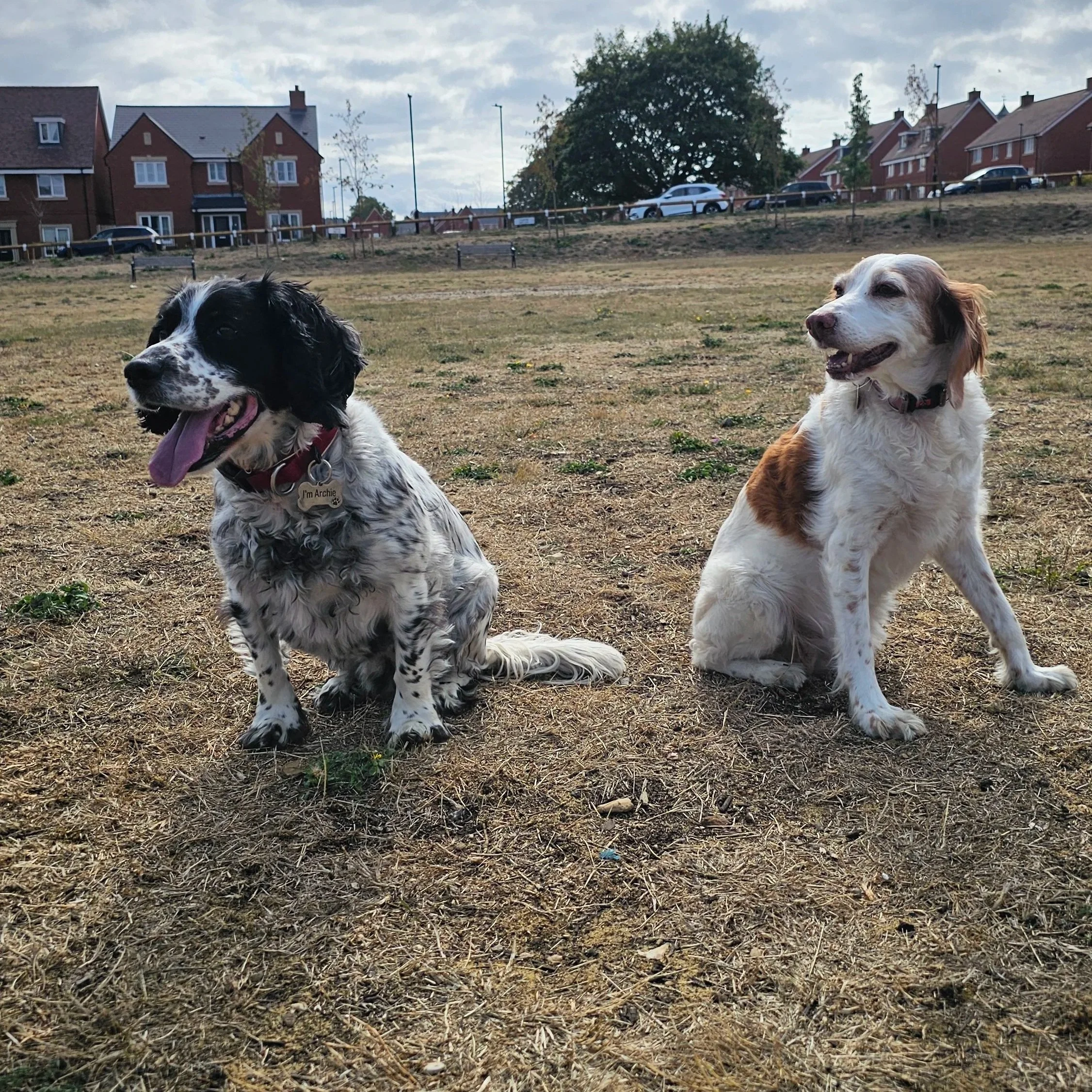 Dori+Lady+2026.jpg