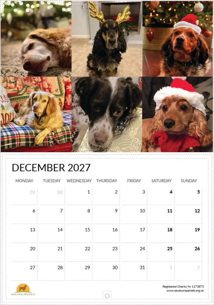 Dec.jpg