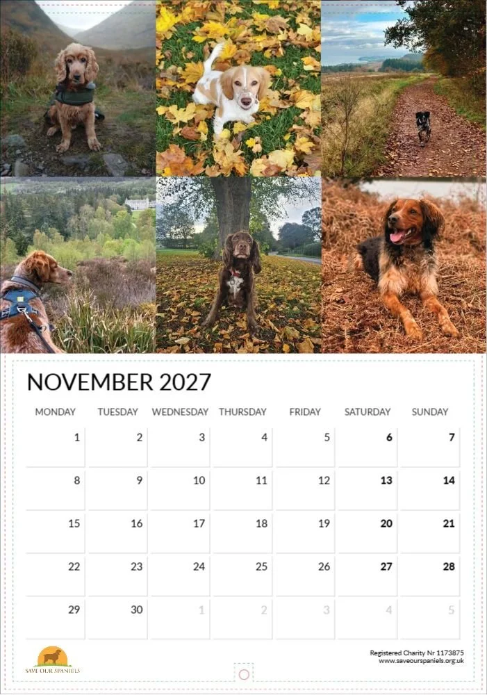 Nov.jpg
