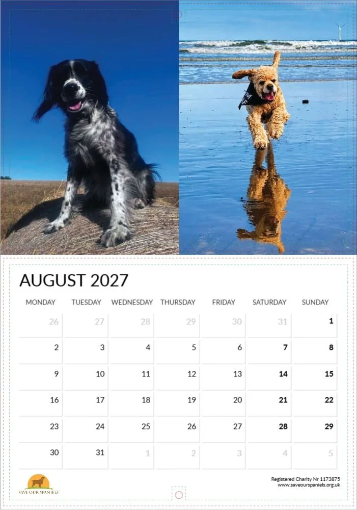 August.jpg