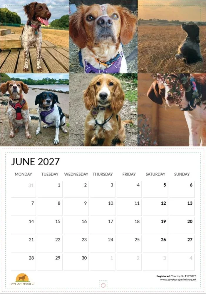 June.jpg