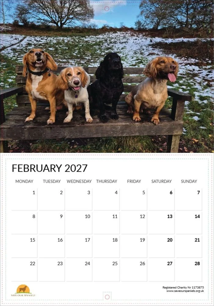 Feb.jpg