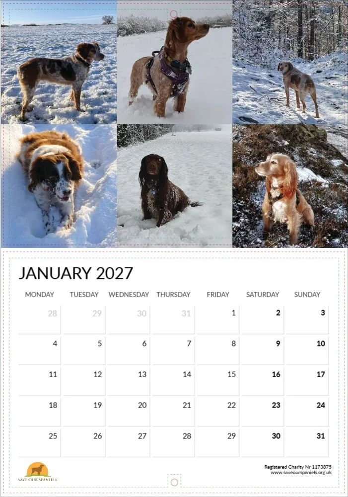Jan.jpg