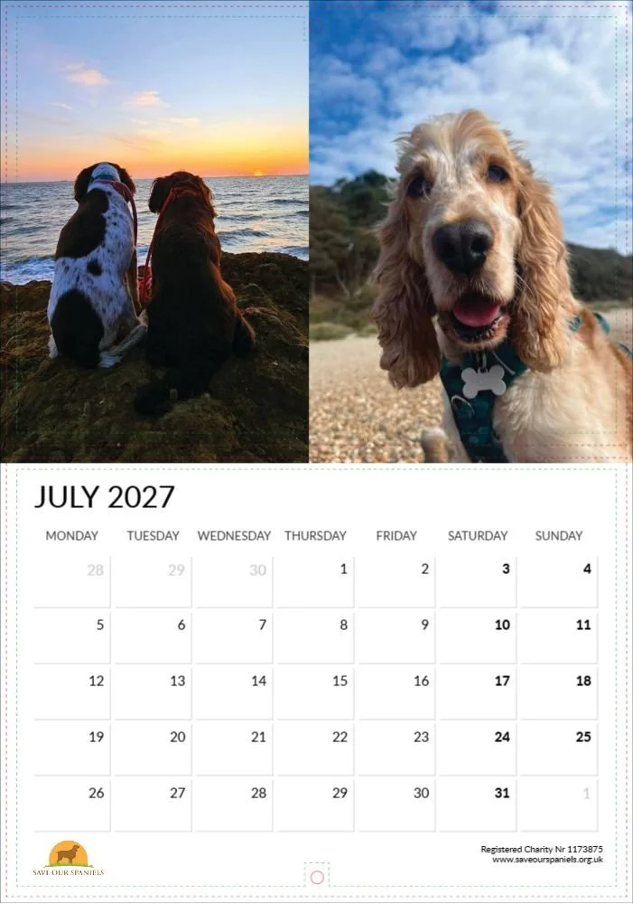 July.jpg