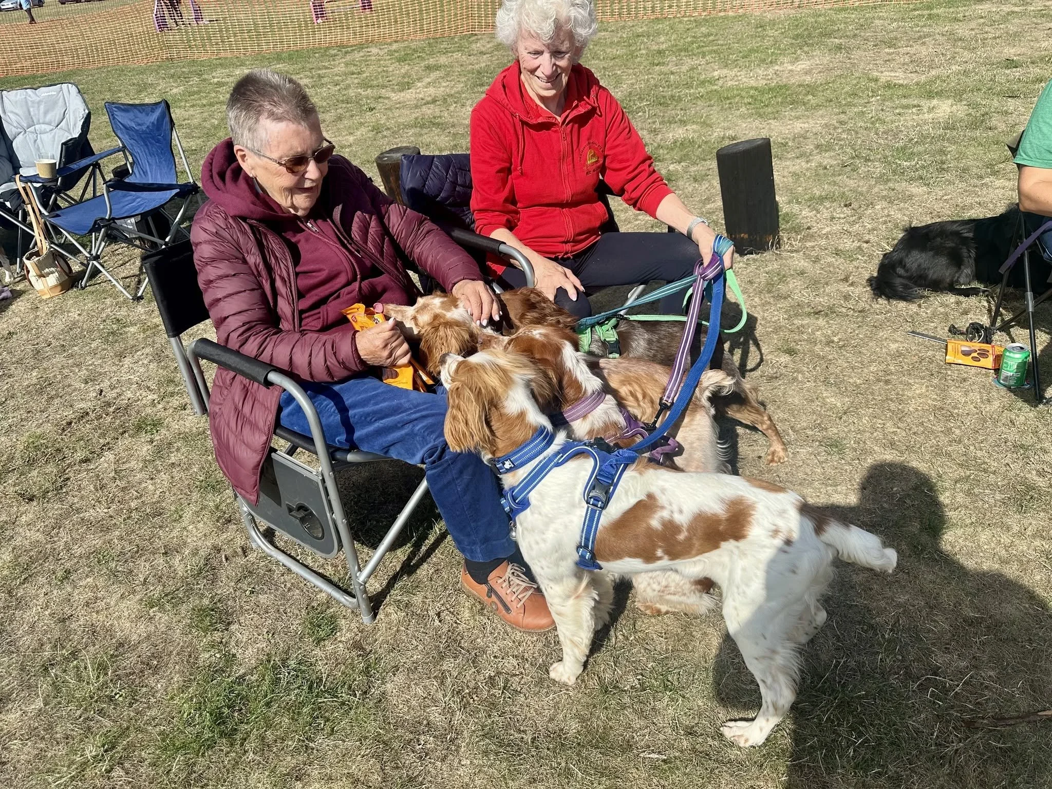 Dogfest 2026 Hancocks.jpg