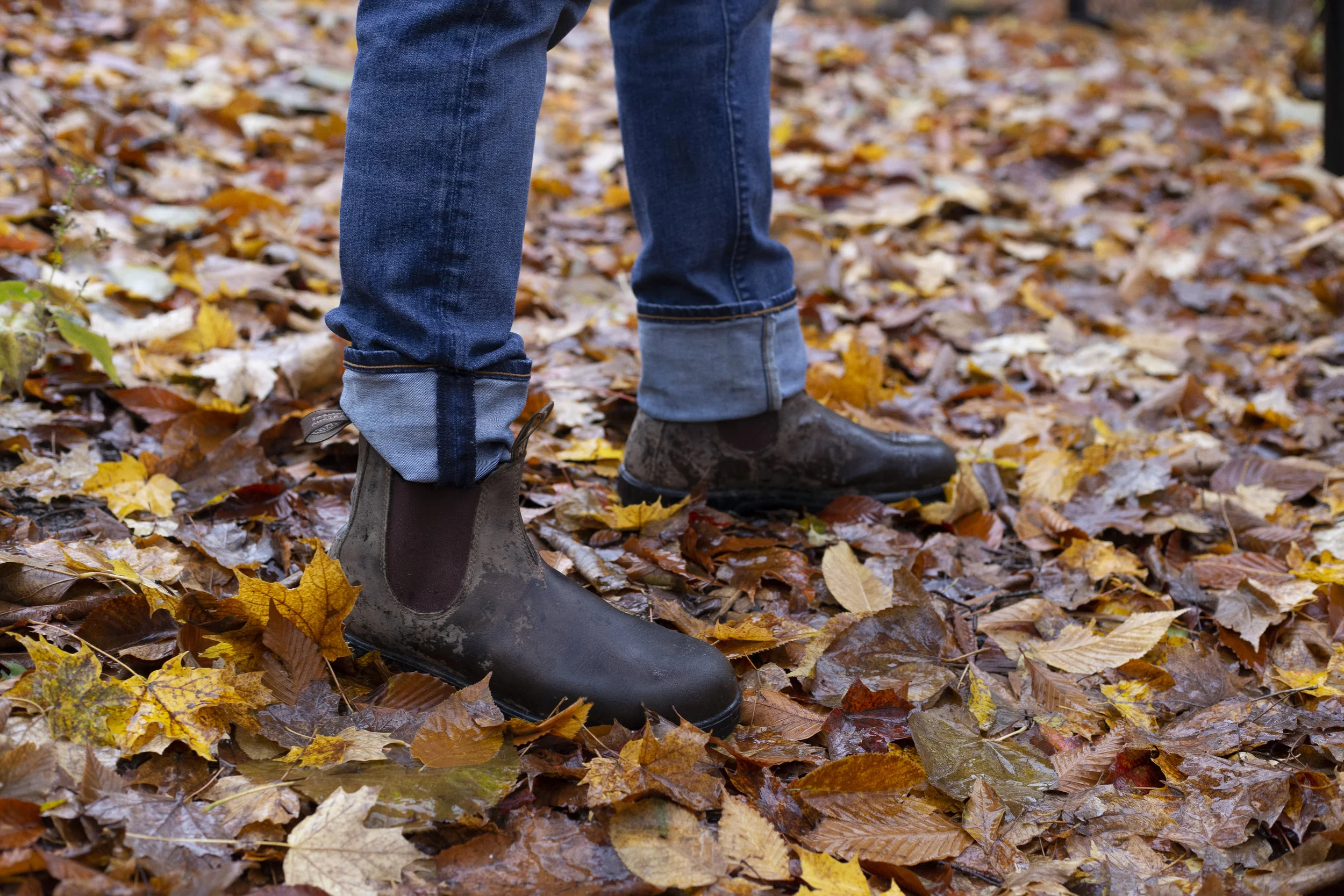 Blundstone