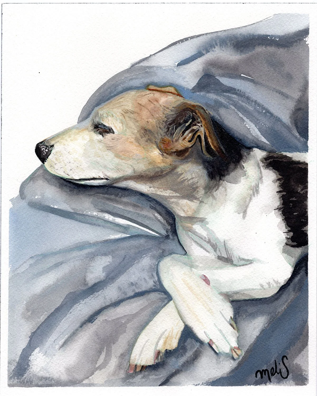 Custom Fur Baby Portrait