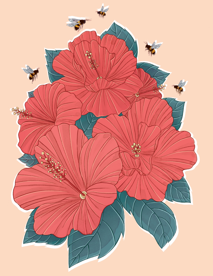 Illustration of “Coral Joy” by Stephanie Singleton