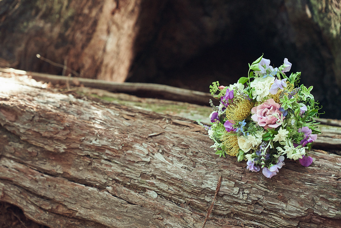 PAM_KYLE_BIGSUR-ELOPEMENT-CHARLES_TORREALBA_25.jpg