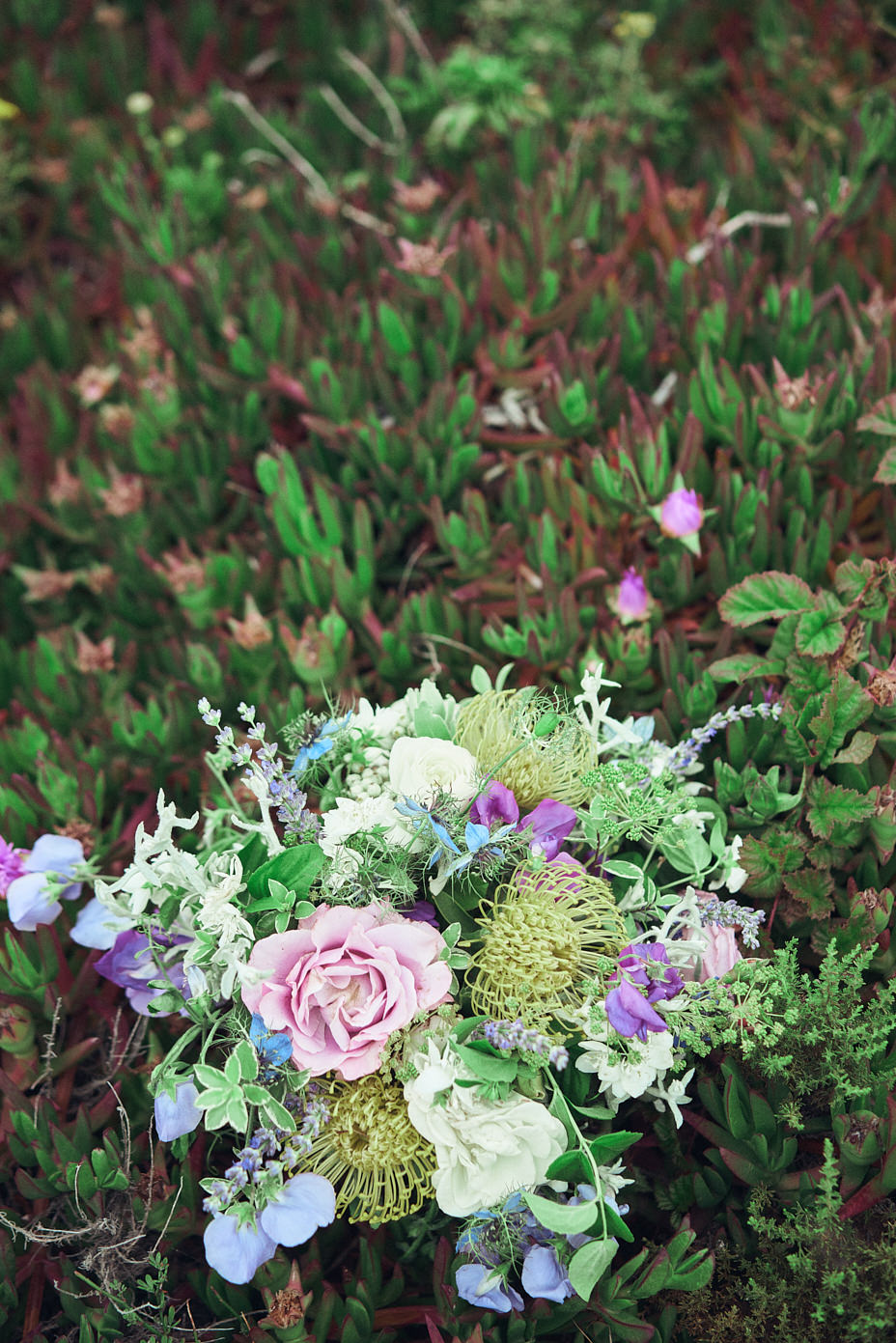 PAM_KYLE_BIGSUR-ELOPEMENT-CHARLES_TORREALBA_37.jpg