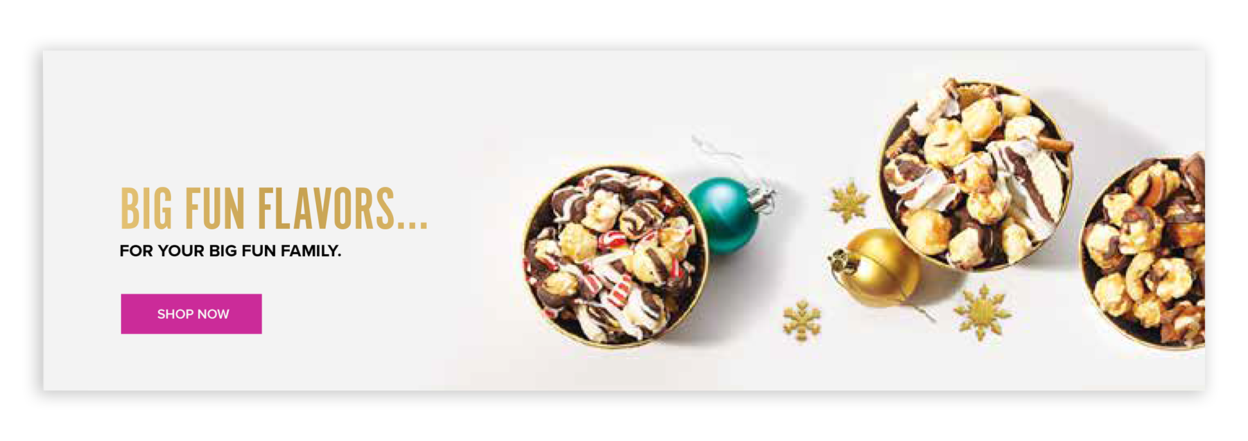 BlkFriday_WEB BANNER.png