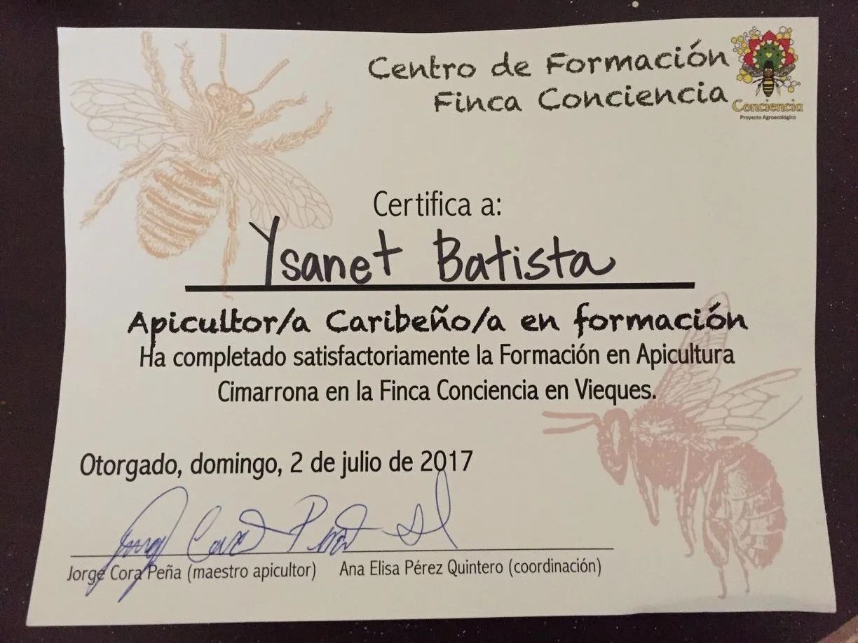 Certificate for Caribbean Beekeeper in Training