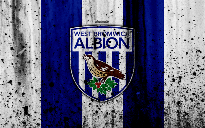 thumb2-fc-west-bromwich-albion-4k-premier-league-logo-england.png