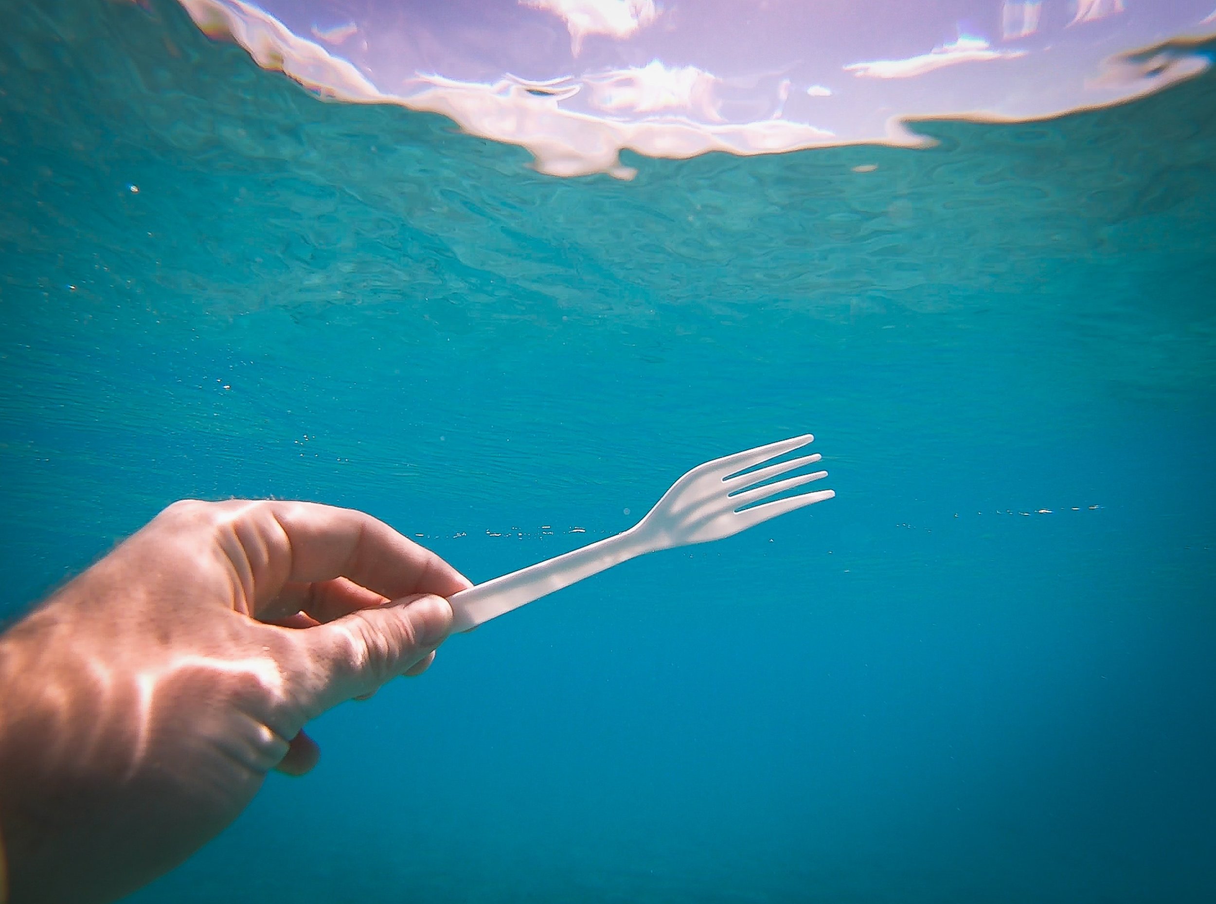 Photo: Brian Yurasits/Unsplash