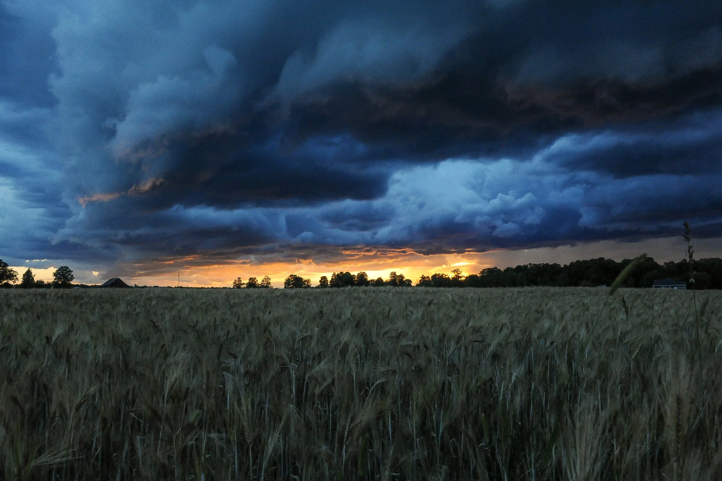 Photo: Clark Young/Unsplash