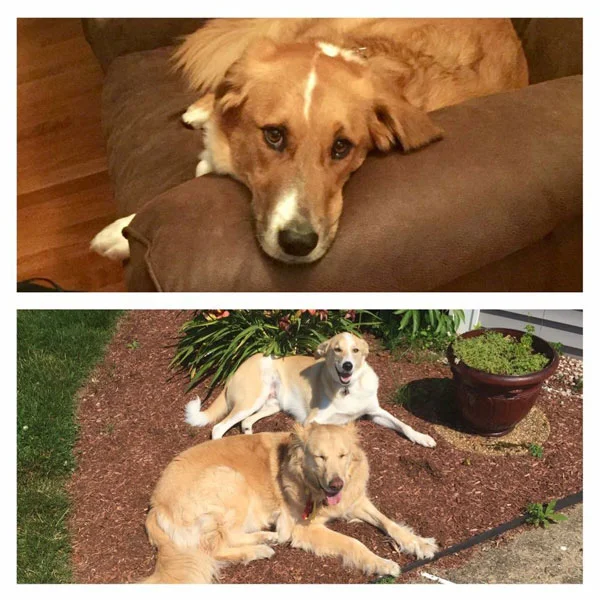 Nur, Cooper and Holden