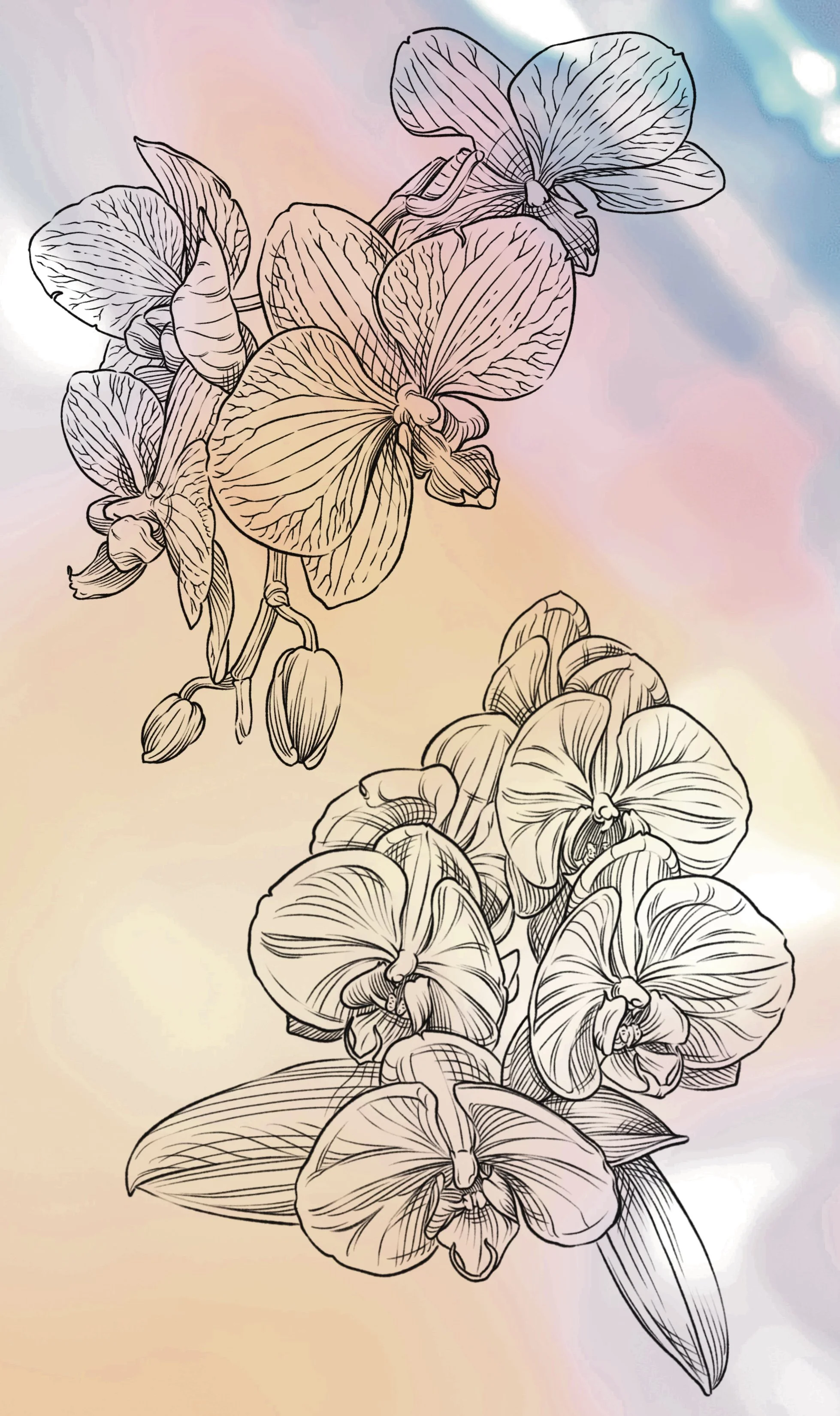 Spring-flash-2.jpg