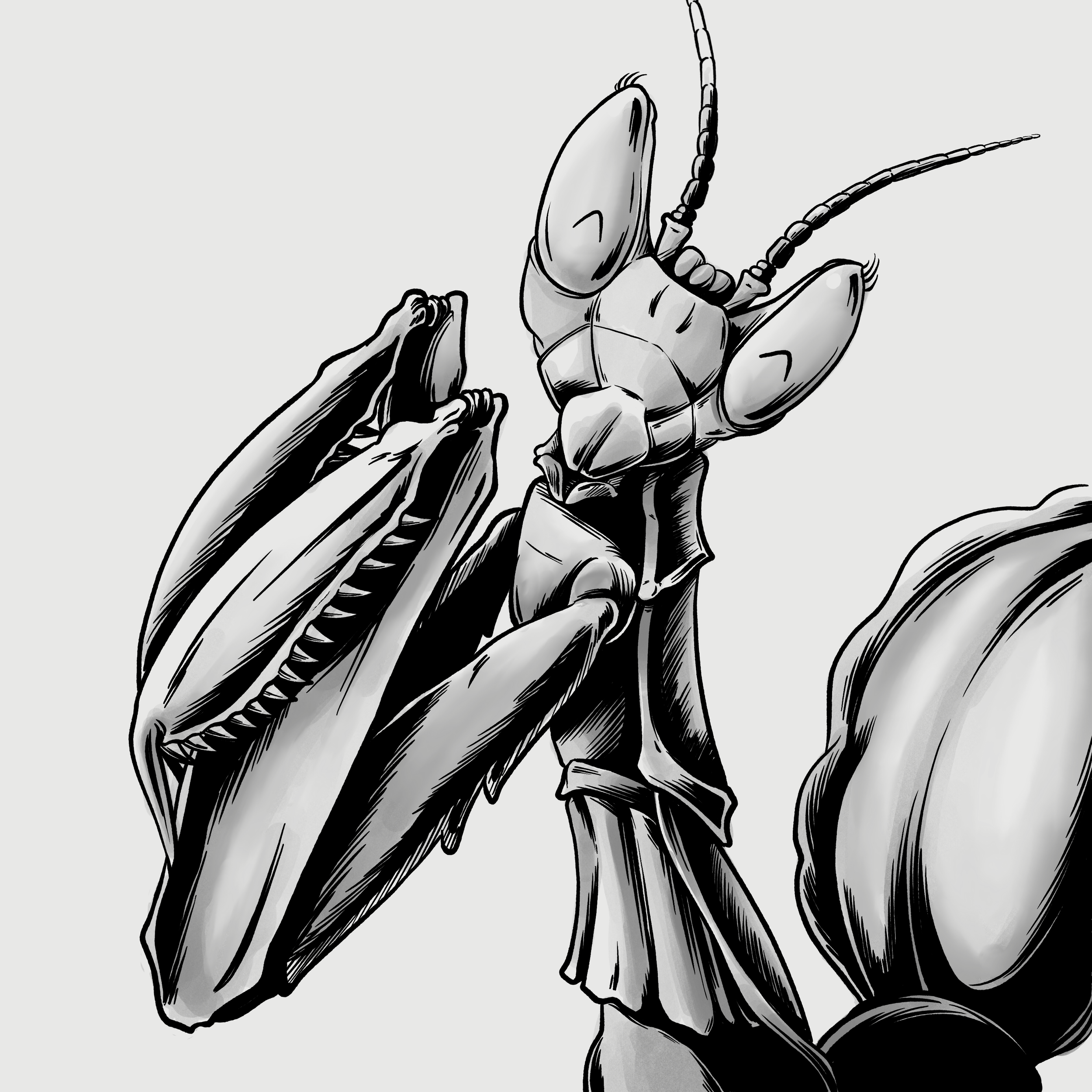 IMG_1577.PNG