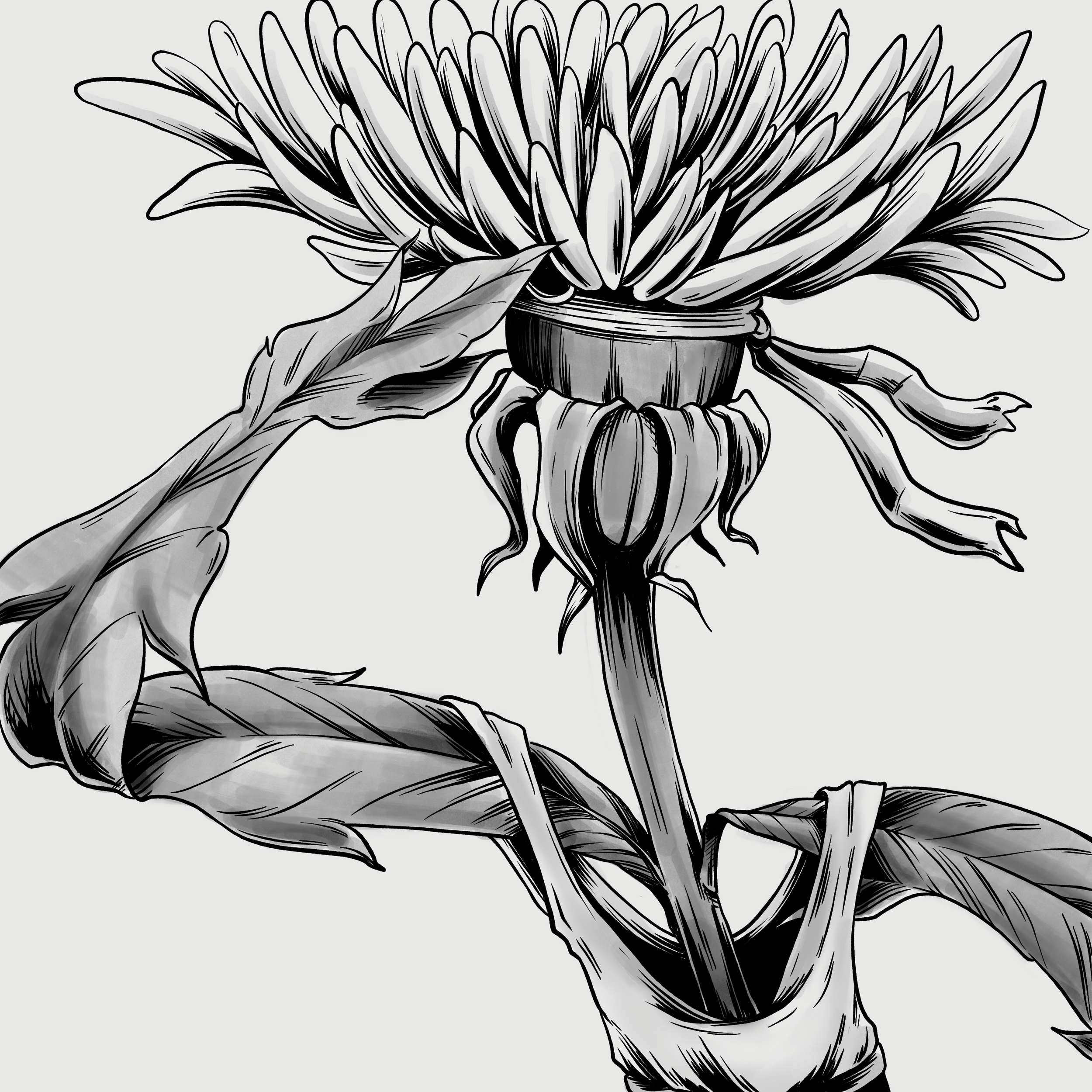 IMG_1580.PNG