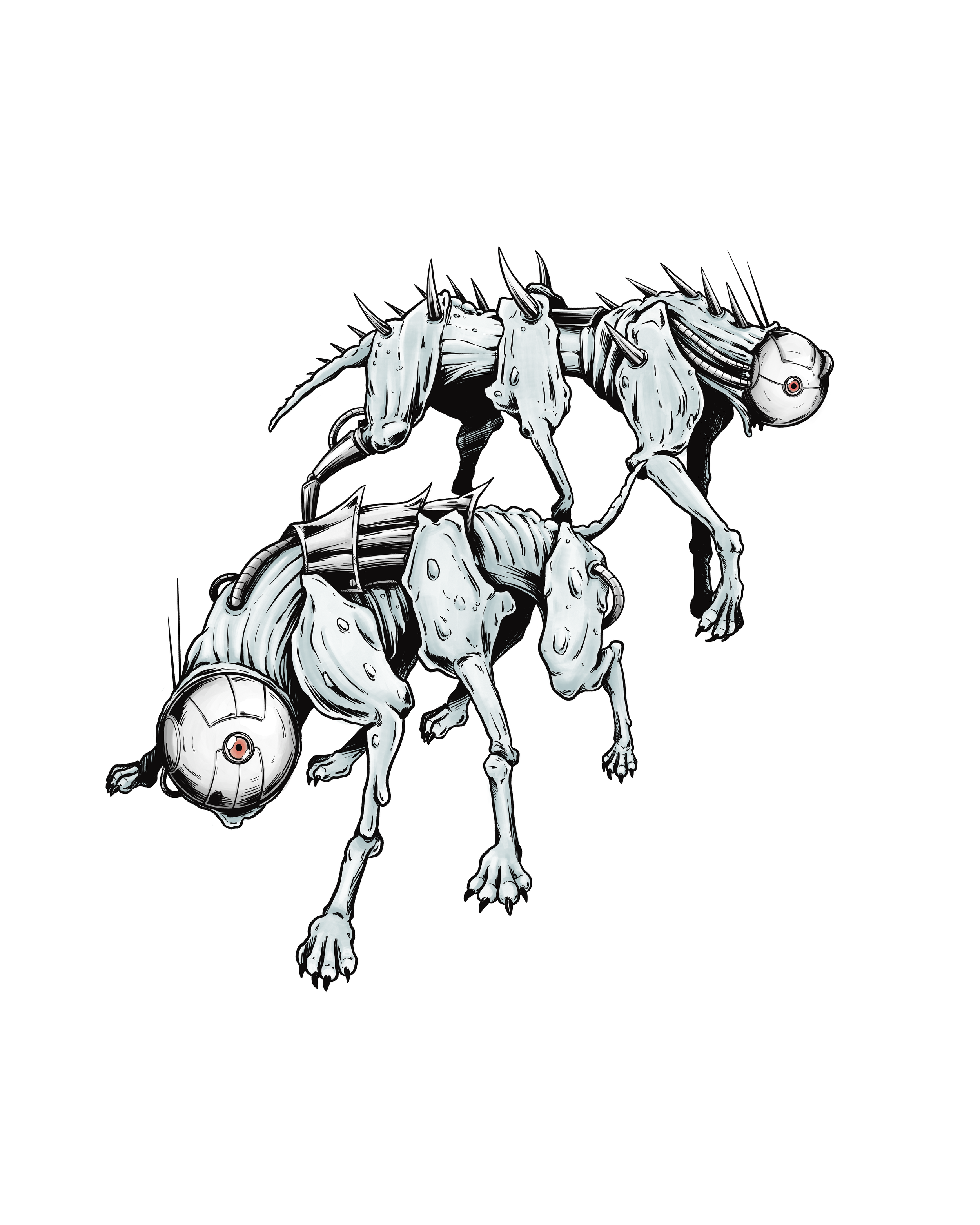 IMG_1561.PNG