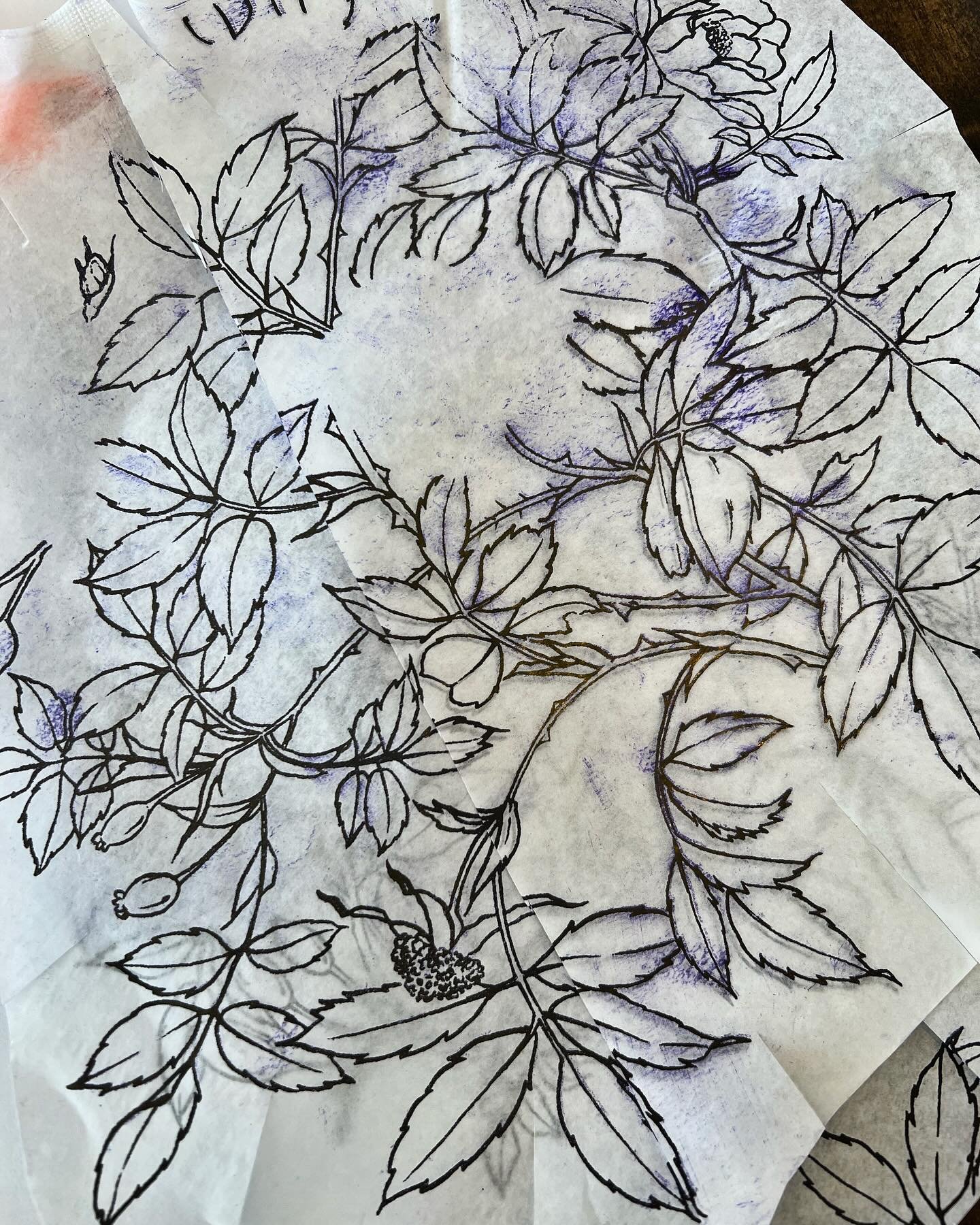 Deuxi&egrave;me bras de roses pour @bitandbang / Bewks op3n for the rest of 2024! Lincoln bio
