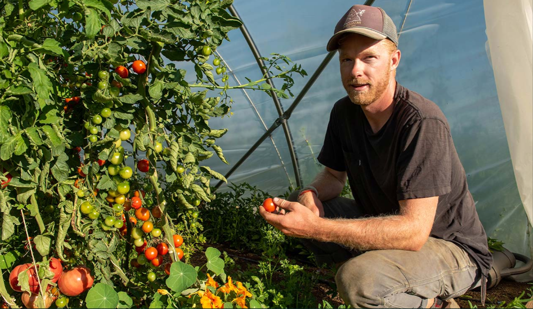 These Colorado programs are helping beginning farmers overcome monumental challenges