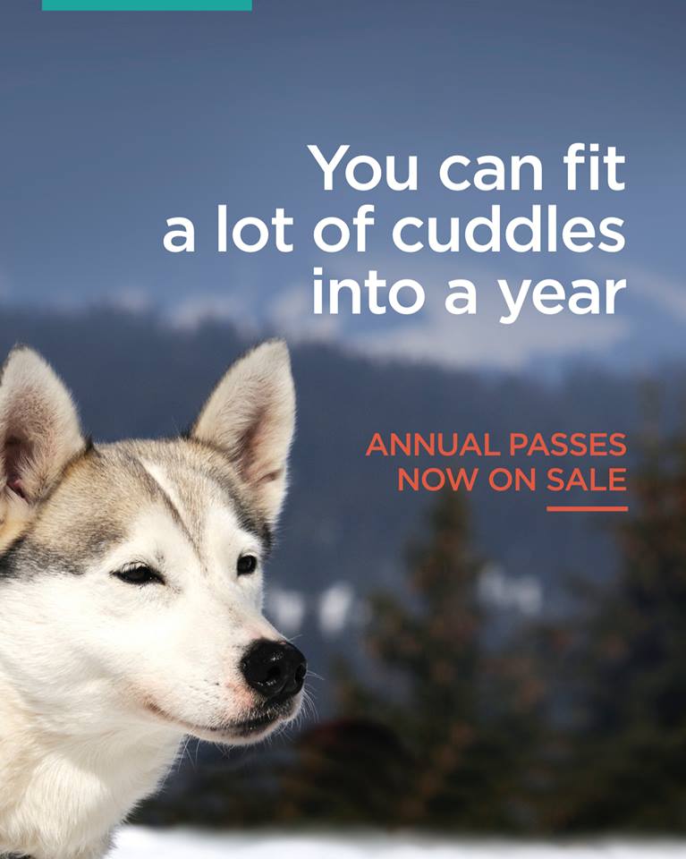 Annual Pass Romer.jpg