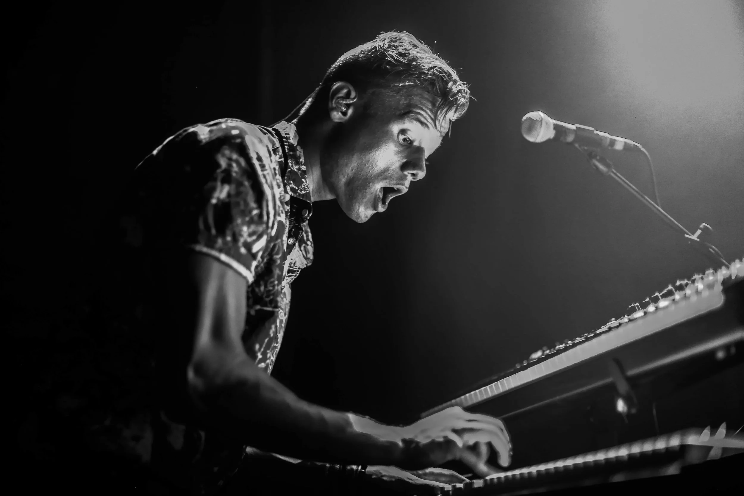 LF_Troubadour-2.jpg