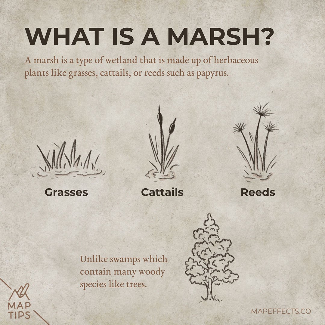 How Does A Marsh Form Map Effects how-does-a-marsh-form-map-effects