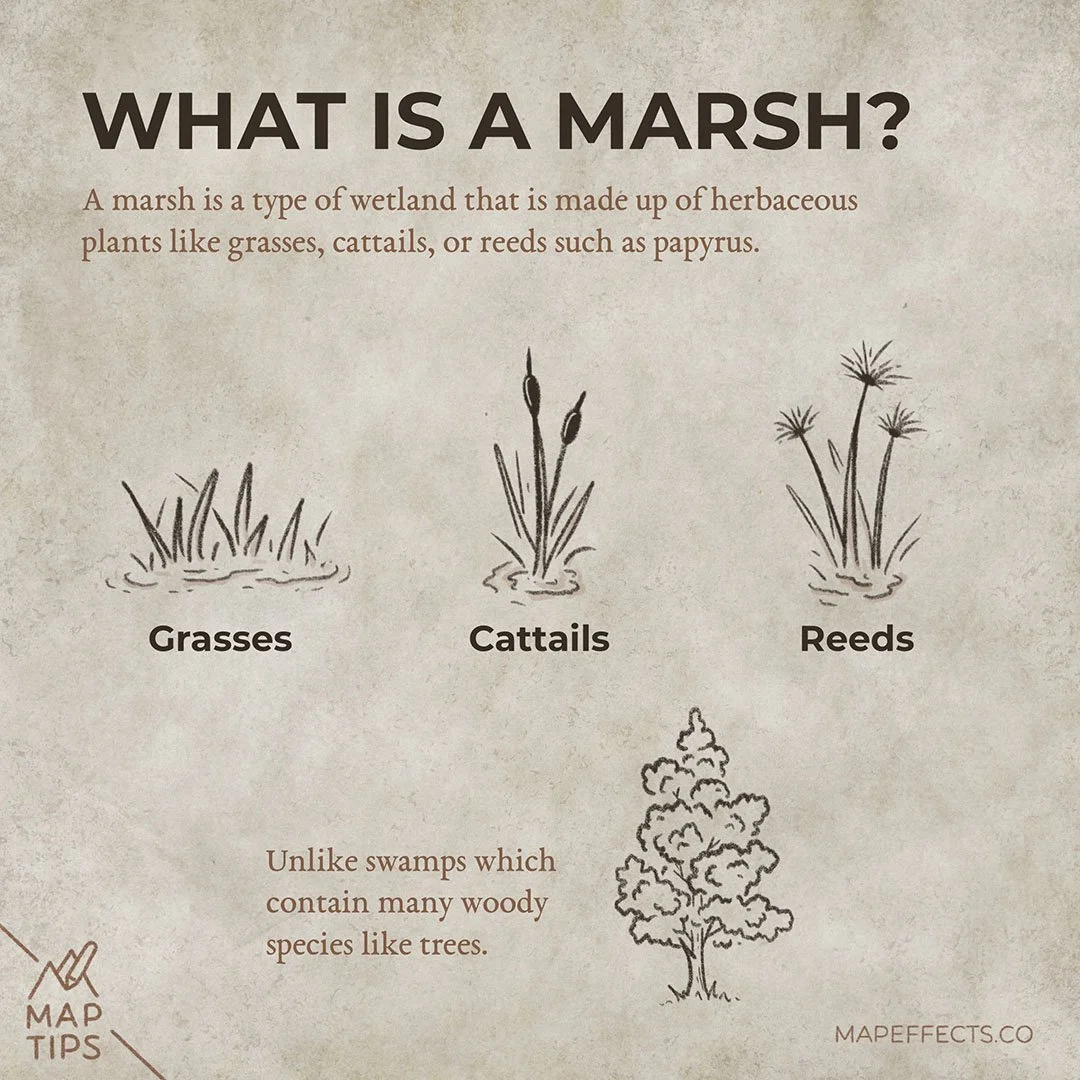 How Does a Marsh Form? — Map Effects