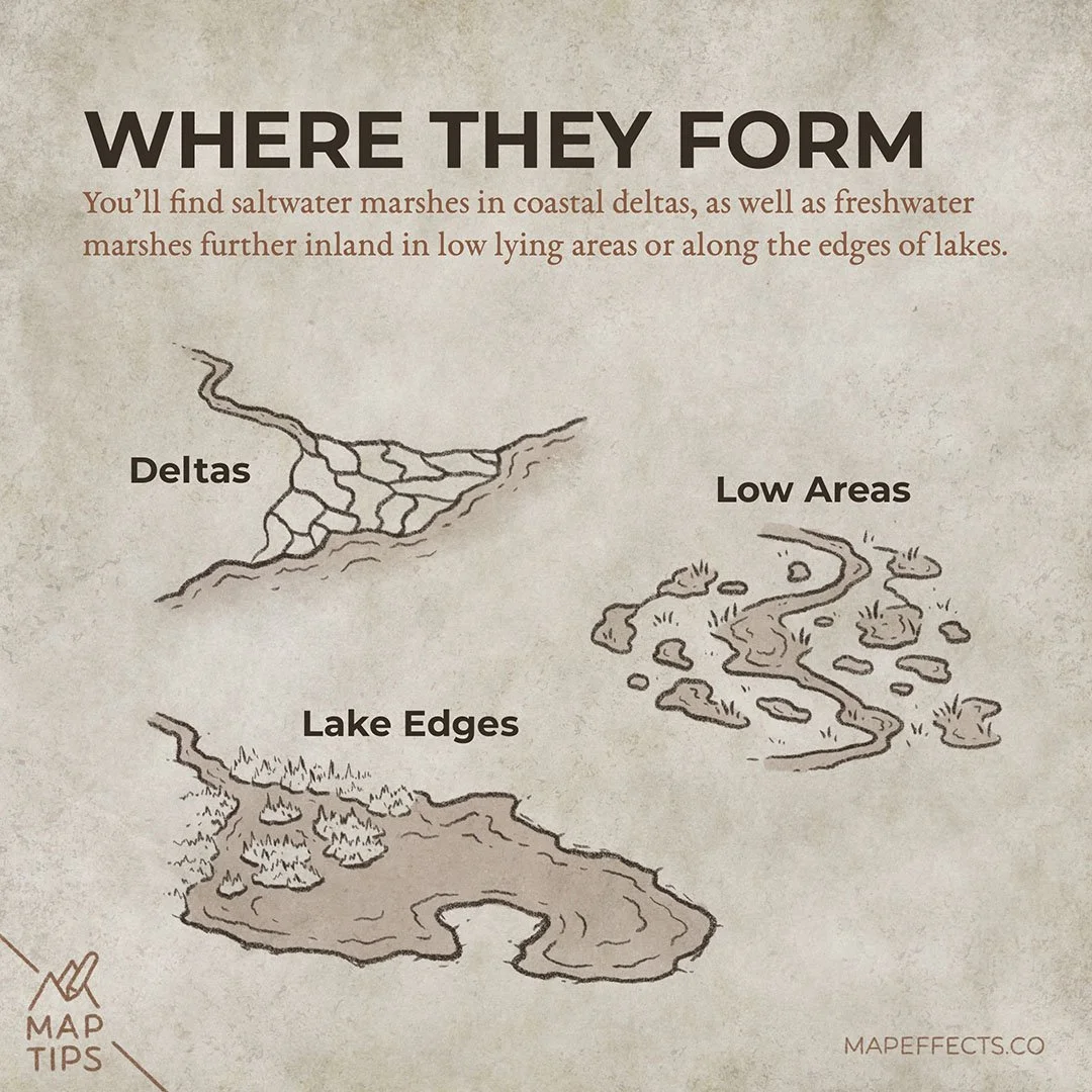 Mashes Map How Does a Marsh Form? — Map Effects