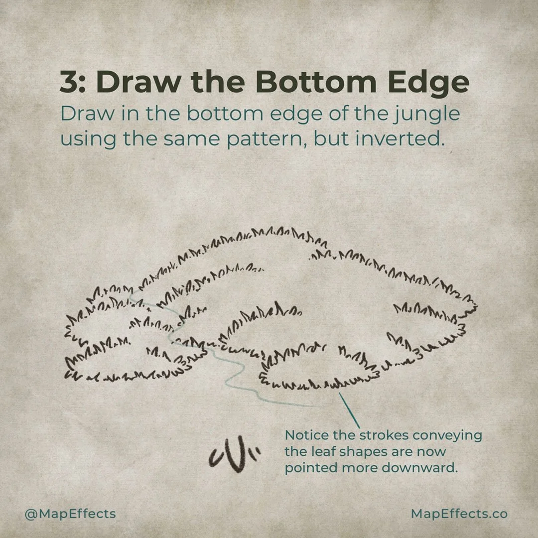 Draw the Bottom of Your Jungle