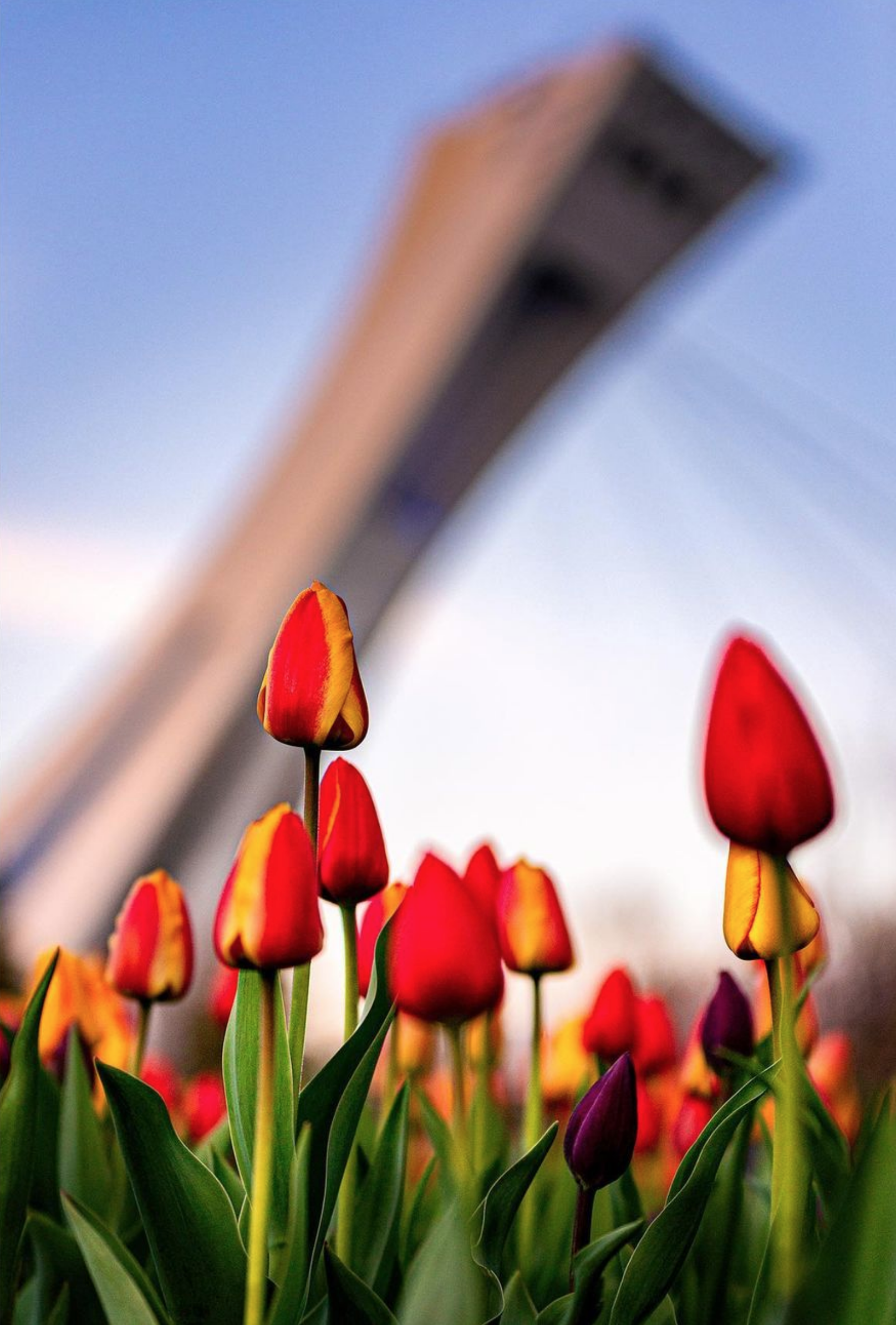 Captura de Pantalla 2022-04-27 a la(s) 21.46.06.png