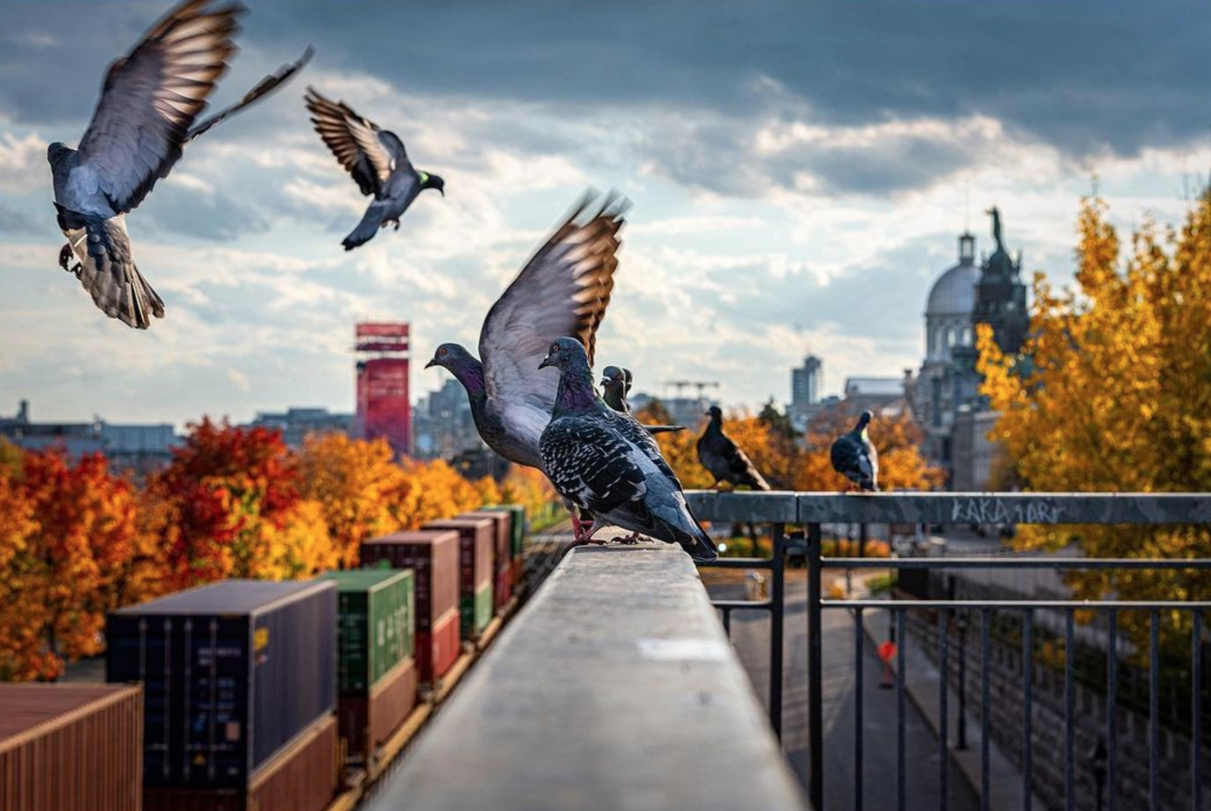 Captura de Pantalla 2022-04-27 a la(s) 21.56.35.png