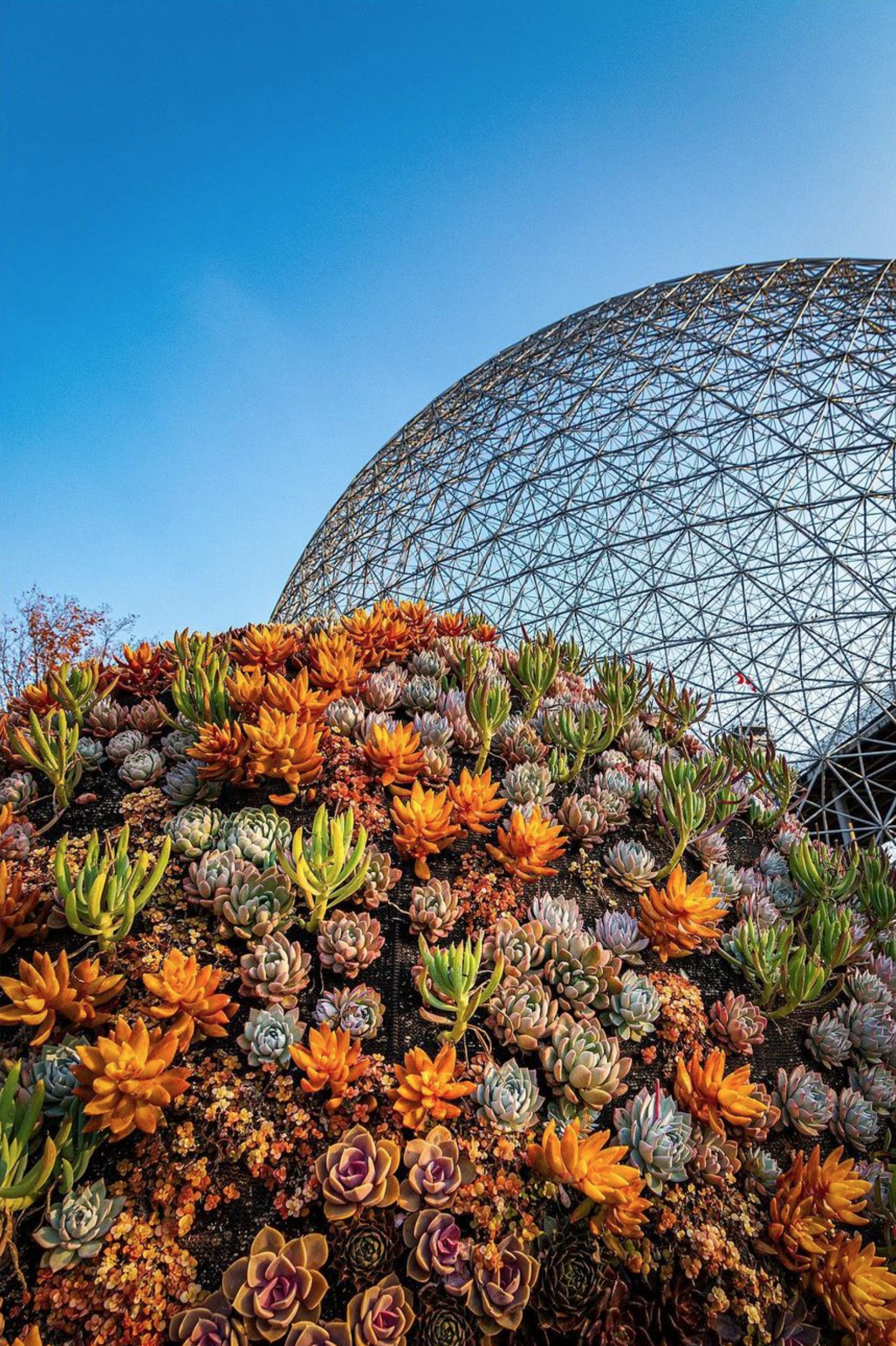 Captura de Pantalla 2022-04-22 a la(s) 12.22.29.png