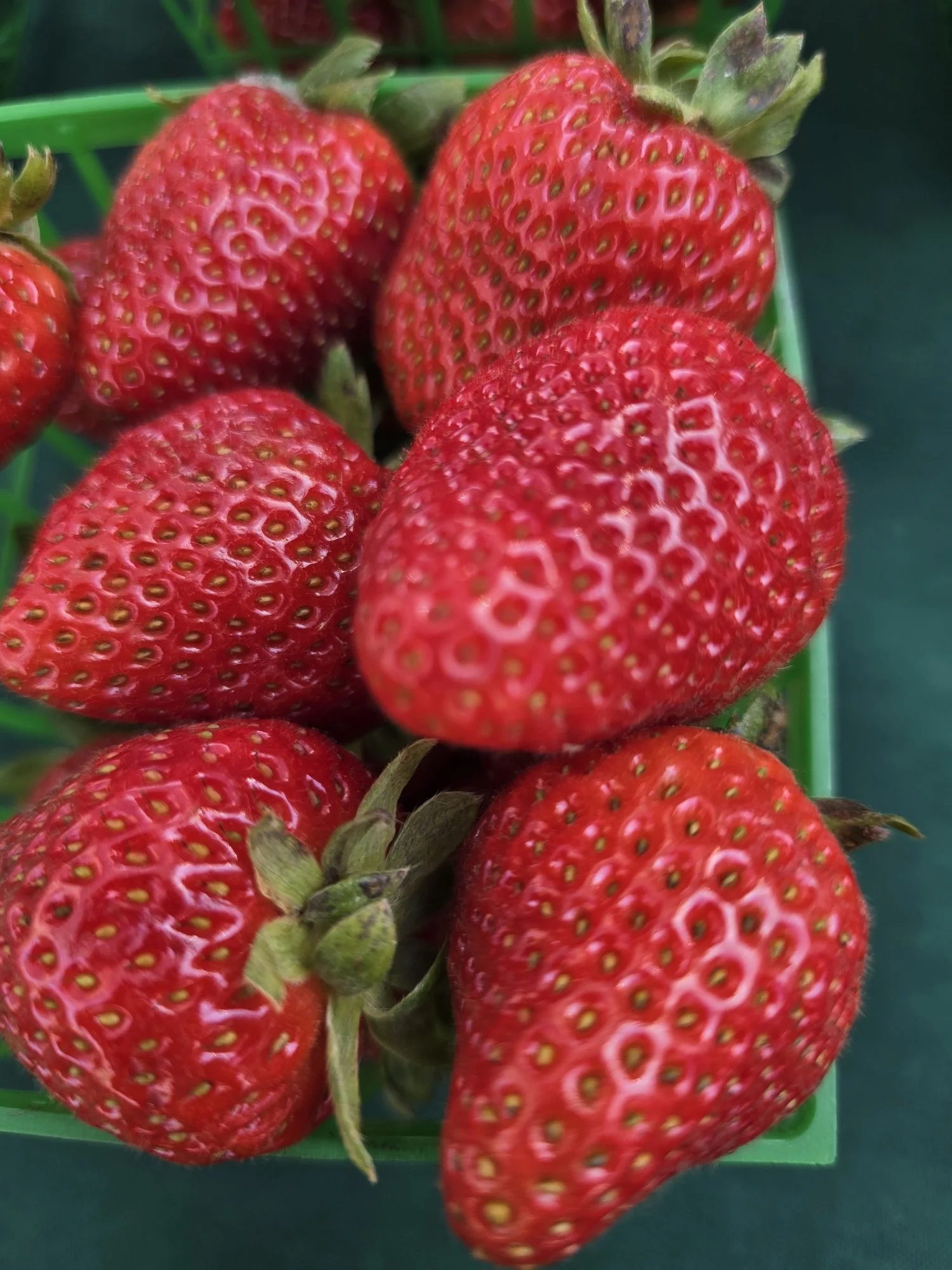 20250913_101617_resized - Copy.jpg