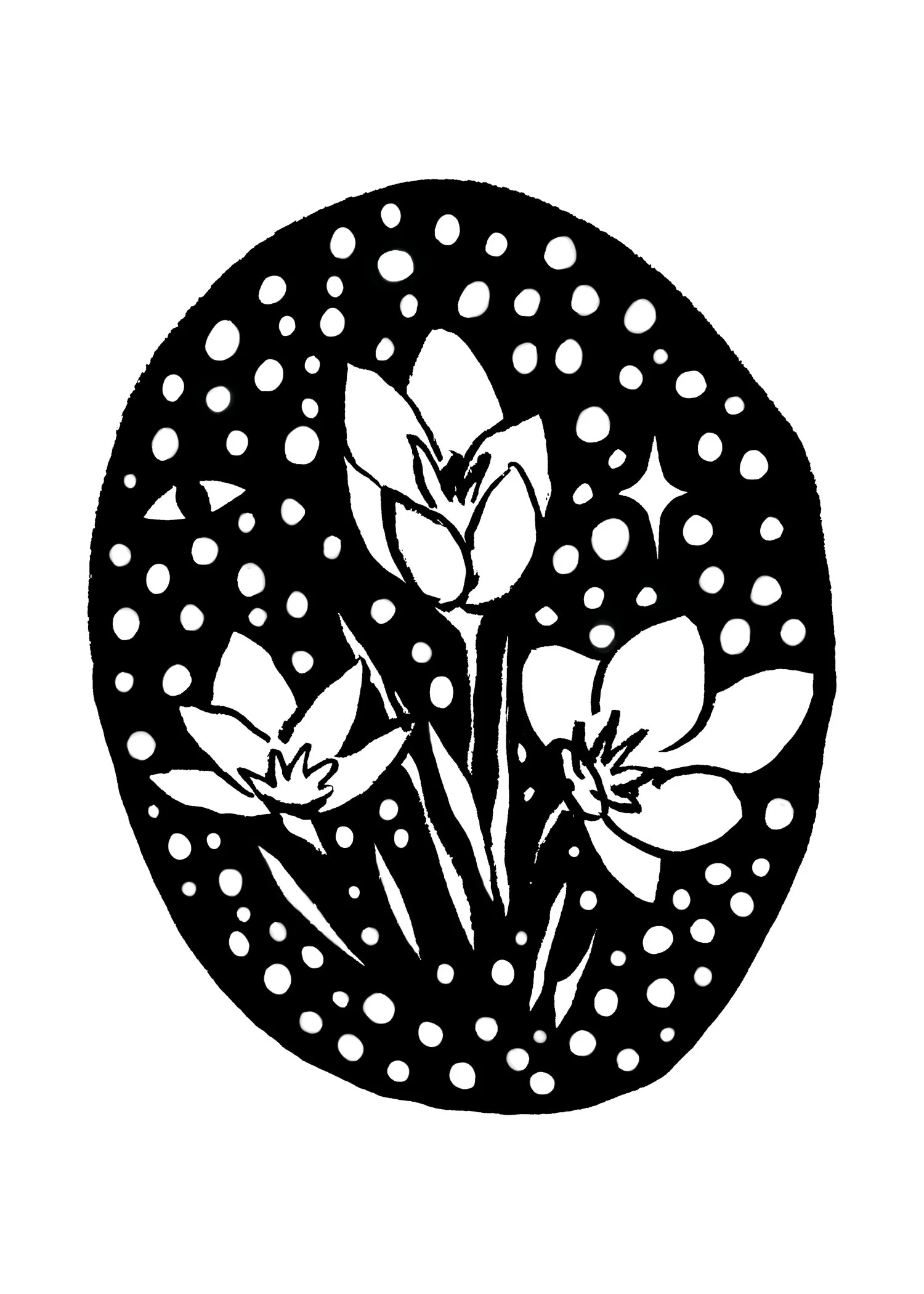 crocuses.jpg