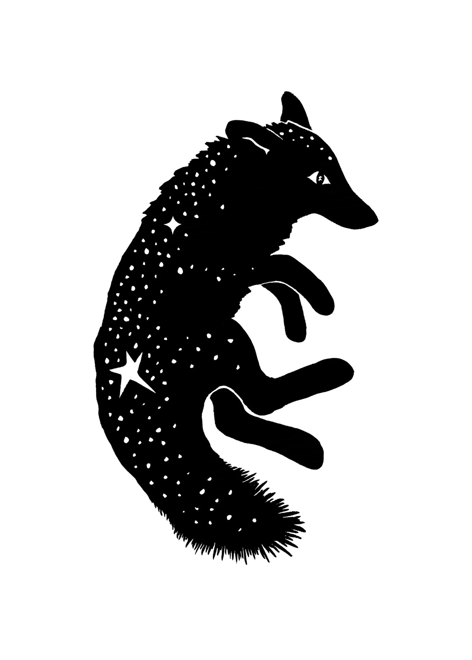 fox.jpg