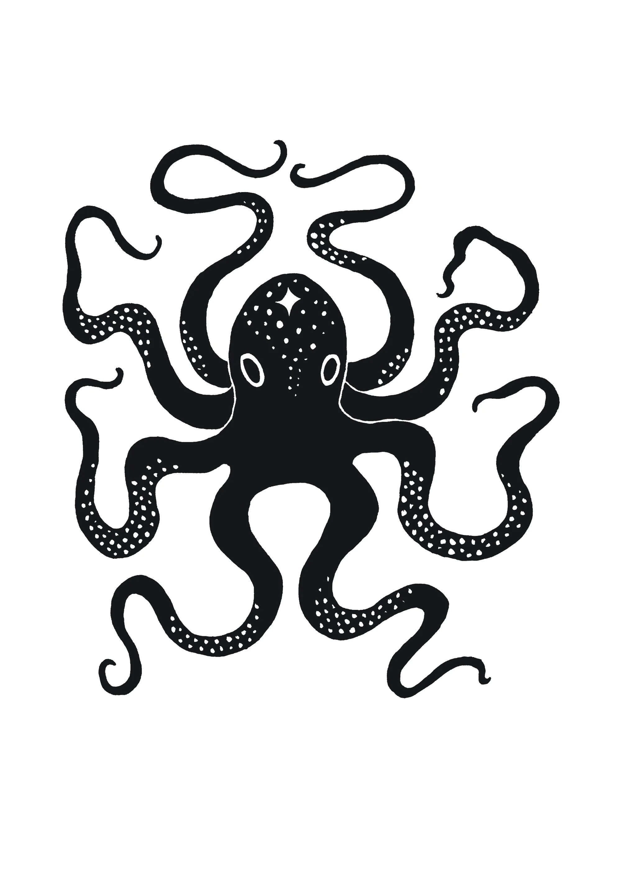 octopus.jpg