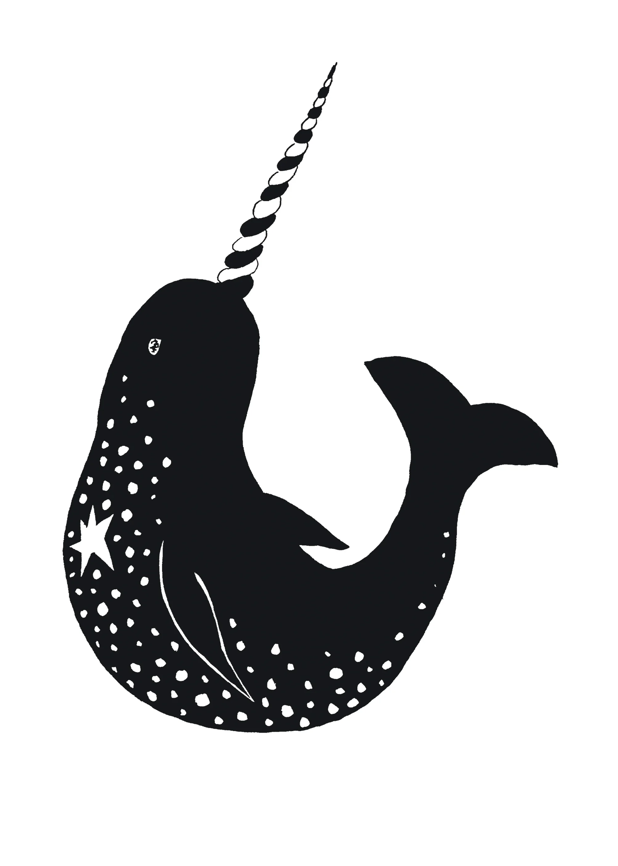 narwhal.jpg