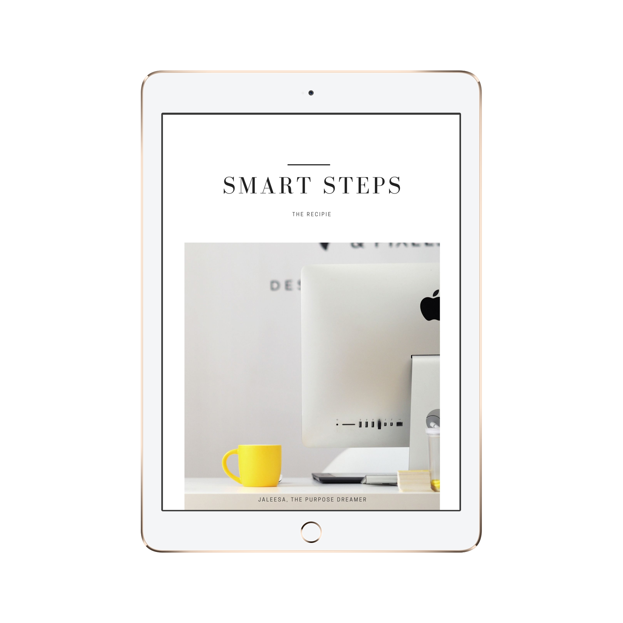 2019 Smart Steps Mock Up.png