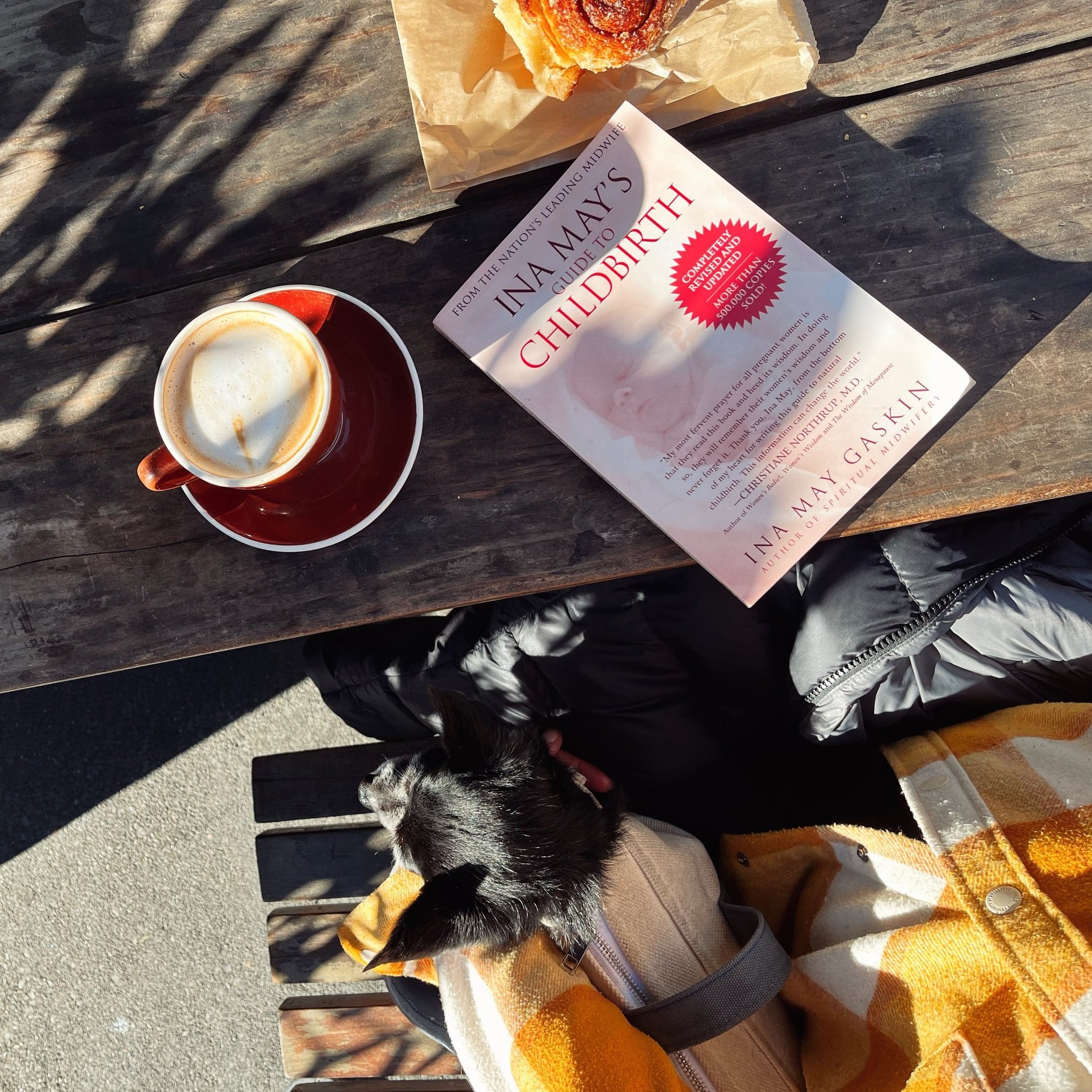 Four Favorite Books From 2024