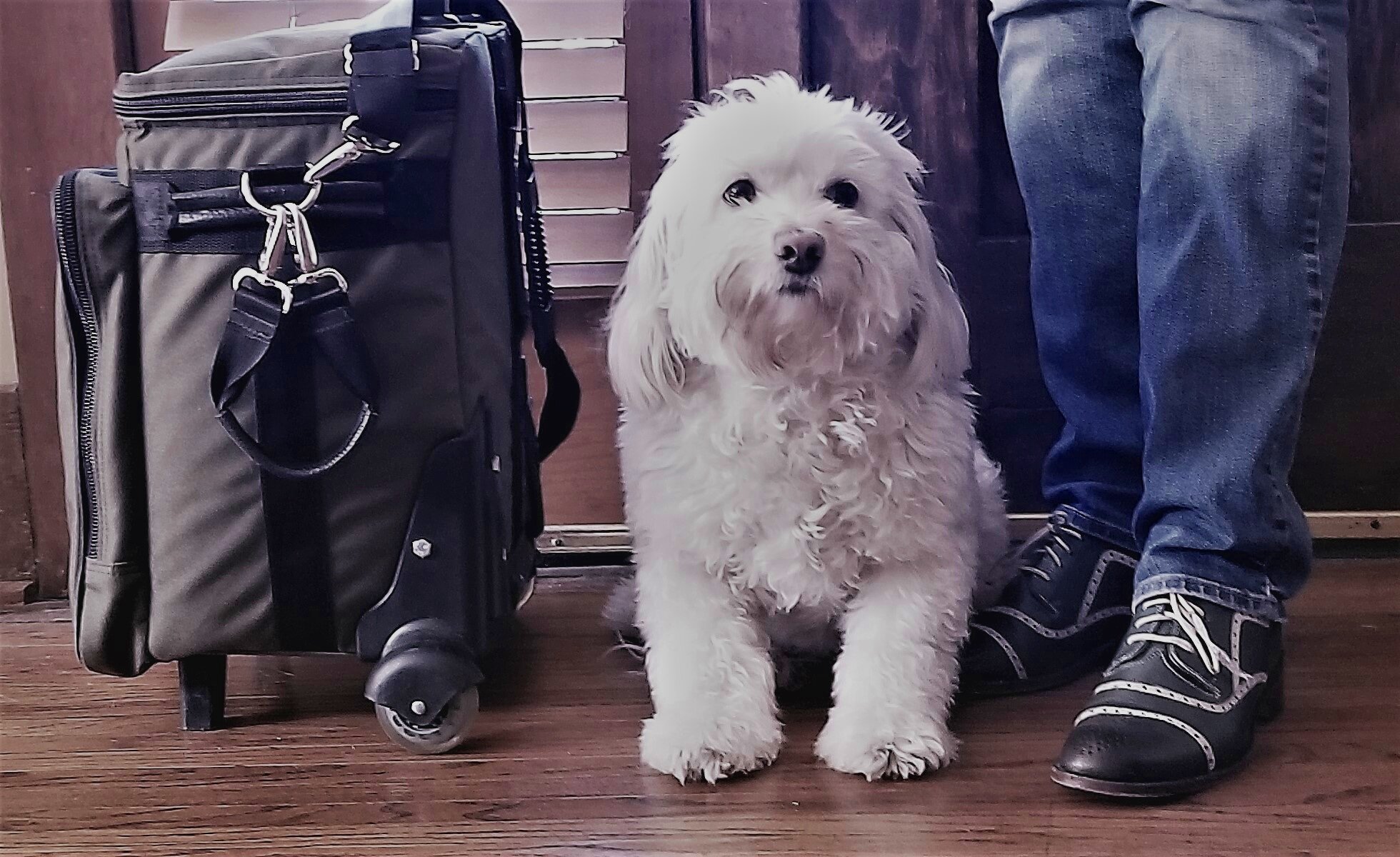 Lily+shoes+bw.jpg